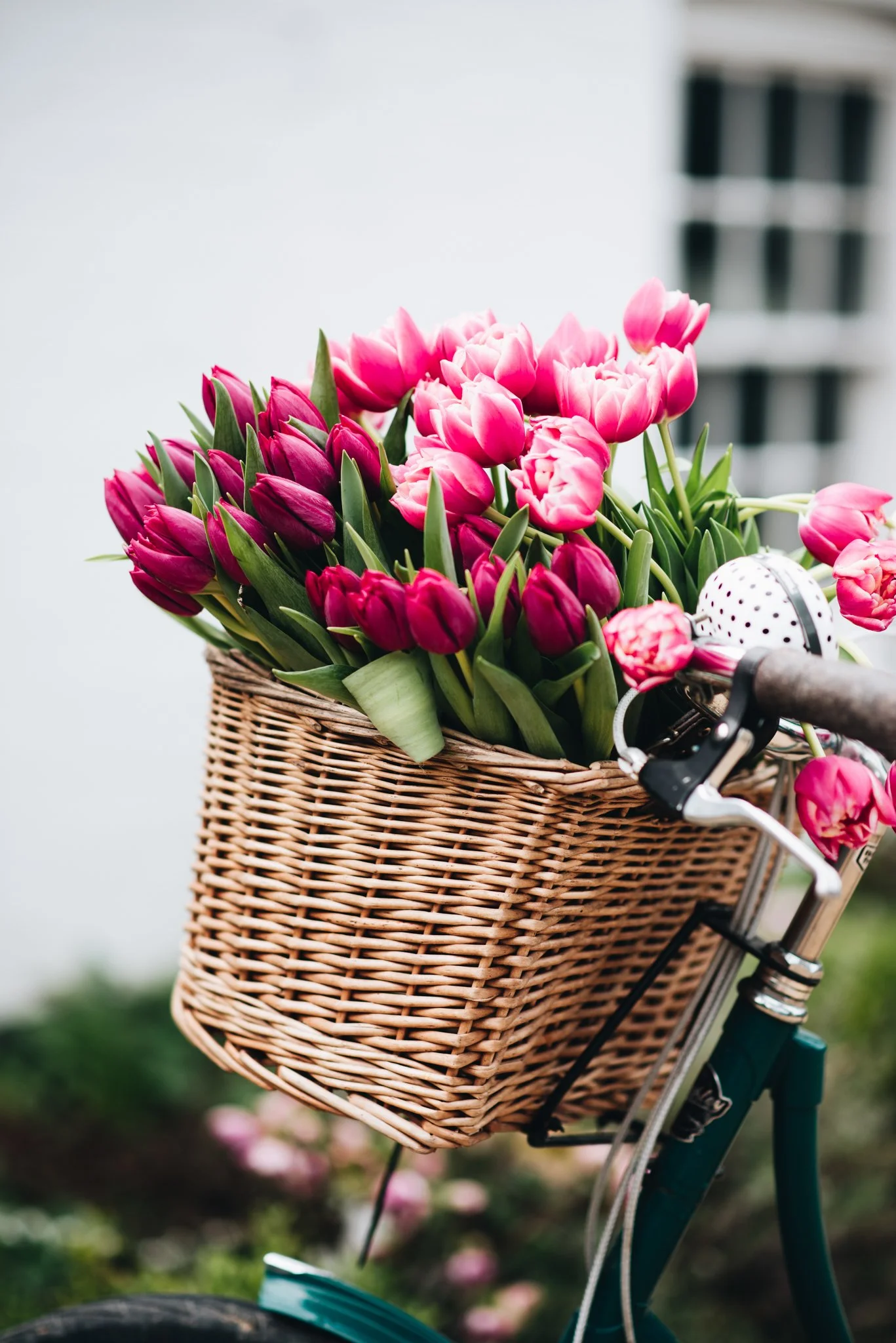 eloise layla nurse flower photography WEB RES-15.jpg