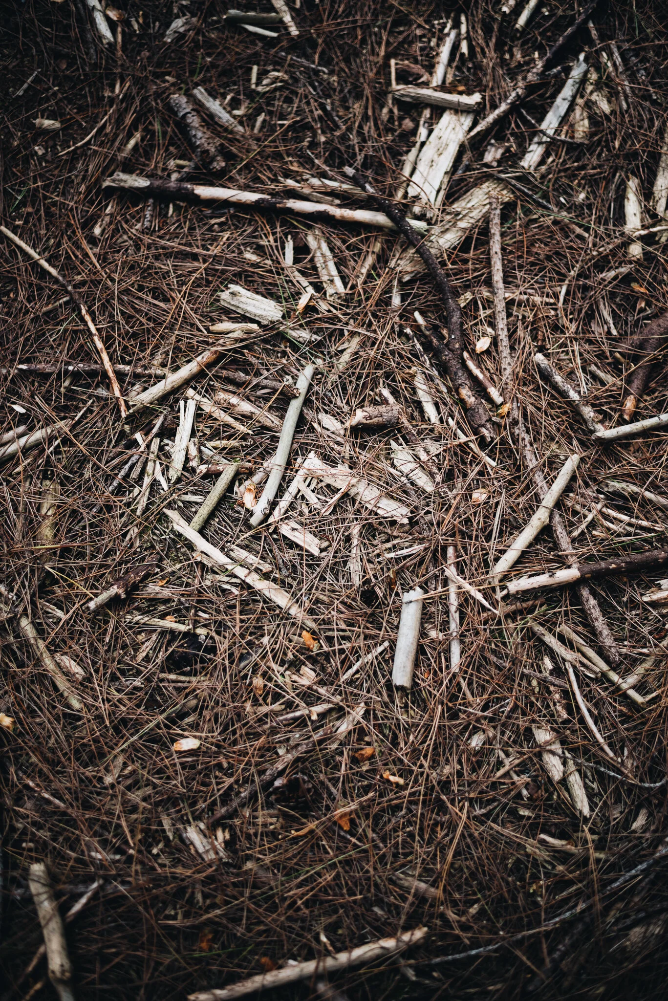 eloise layla nurse garden photographer-2-6.jpg