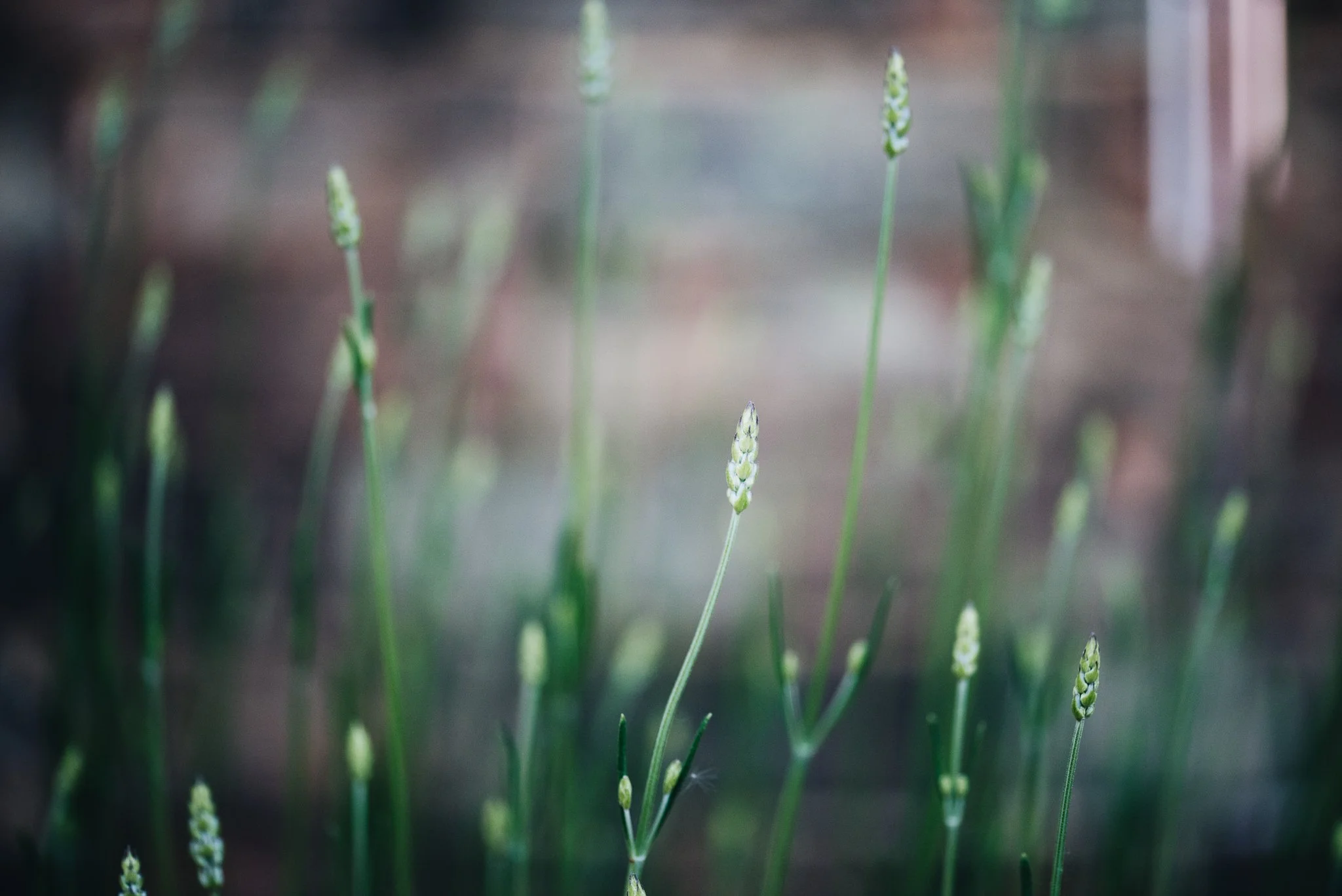 WEB RESOLUTION (SOCIAL MEDIA)-15.jpg