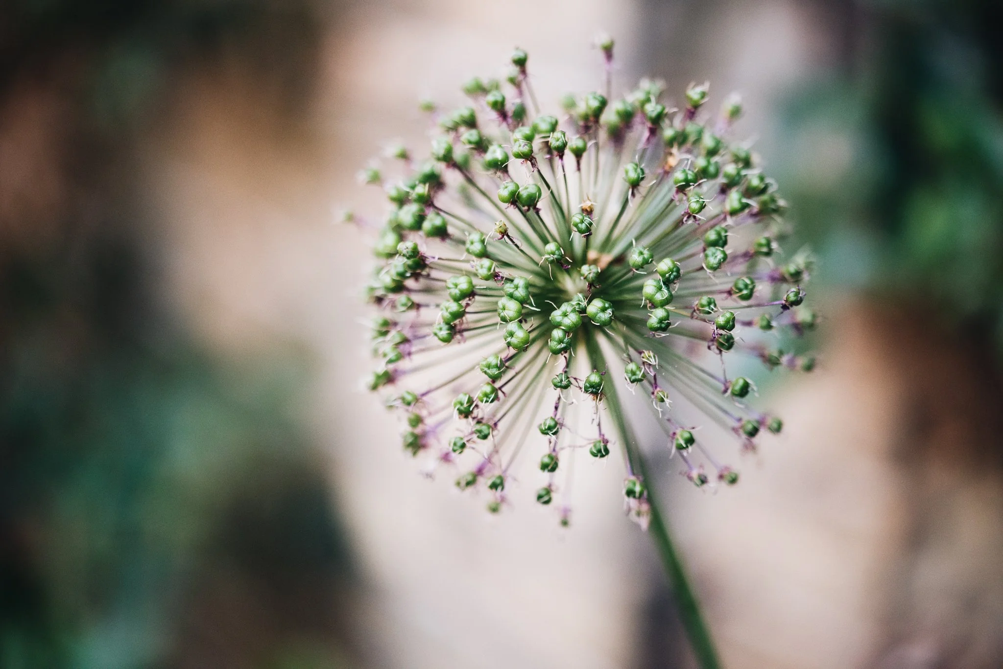 WEB RESOLUTION (SOCIAL MEDIA)-20.jpg