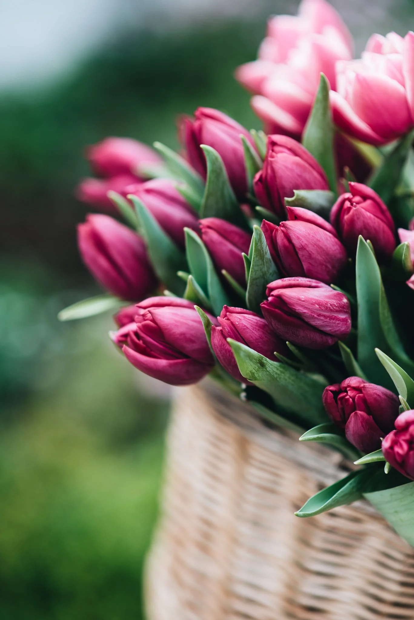 eloise layla nurse flower photography WEB RES-32.jpg