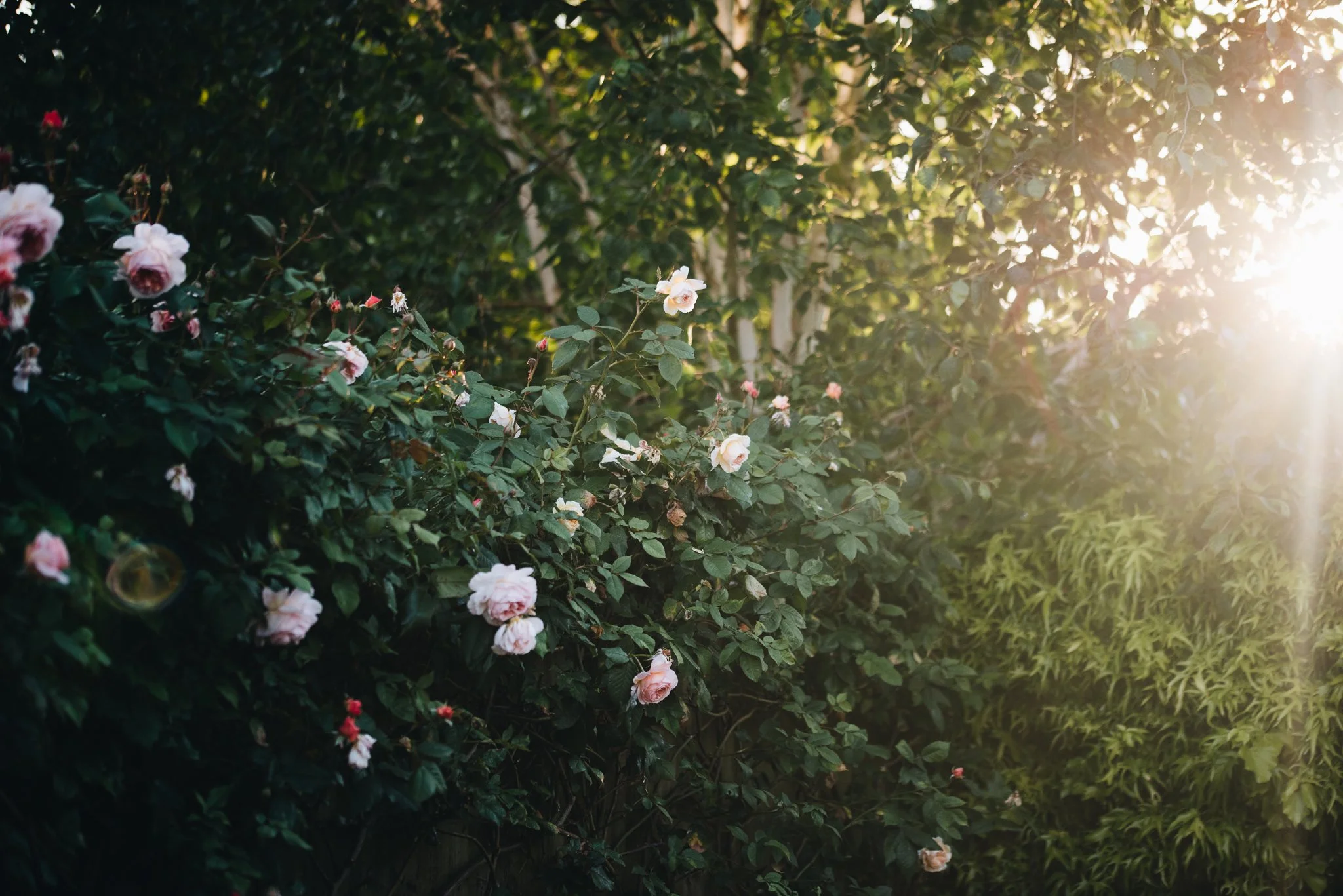 WEB RESOLUTION (SOCIAL MEDIA)-92.jpg