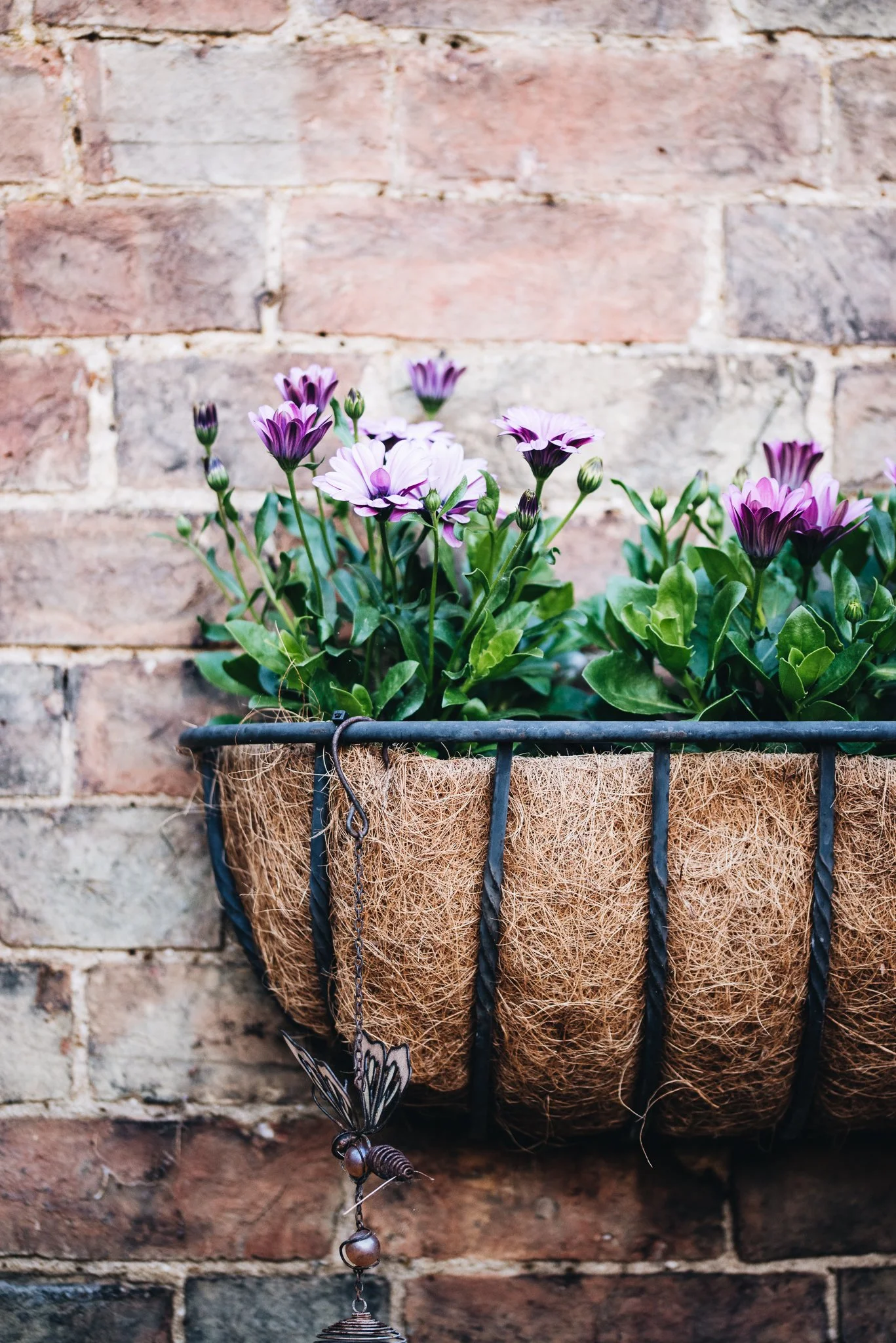 WEB RESOLUTION (SOCIAL MEDIA)-16.jpg