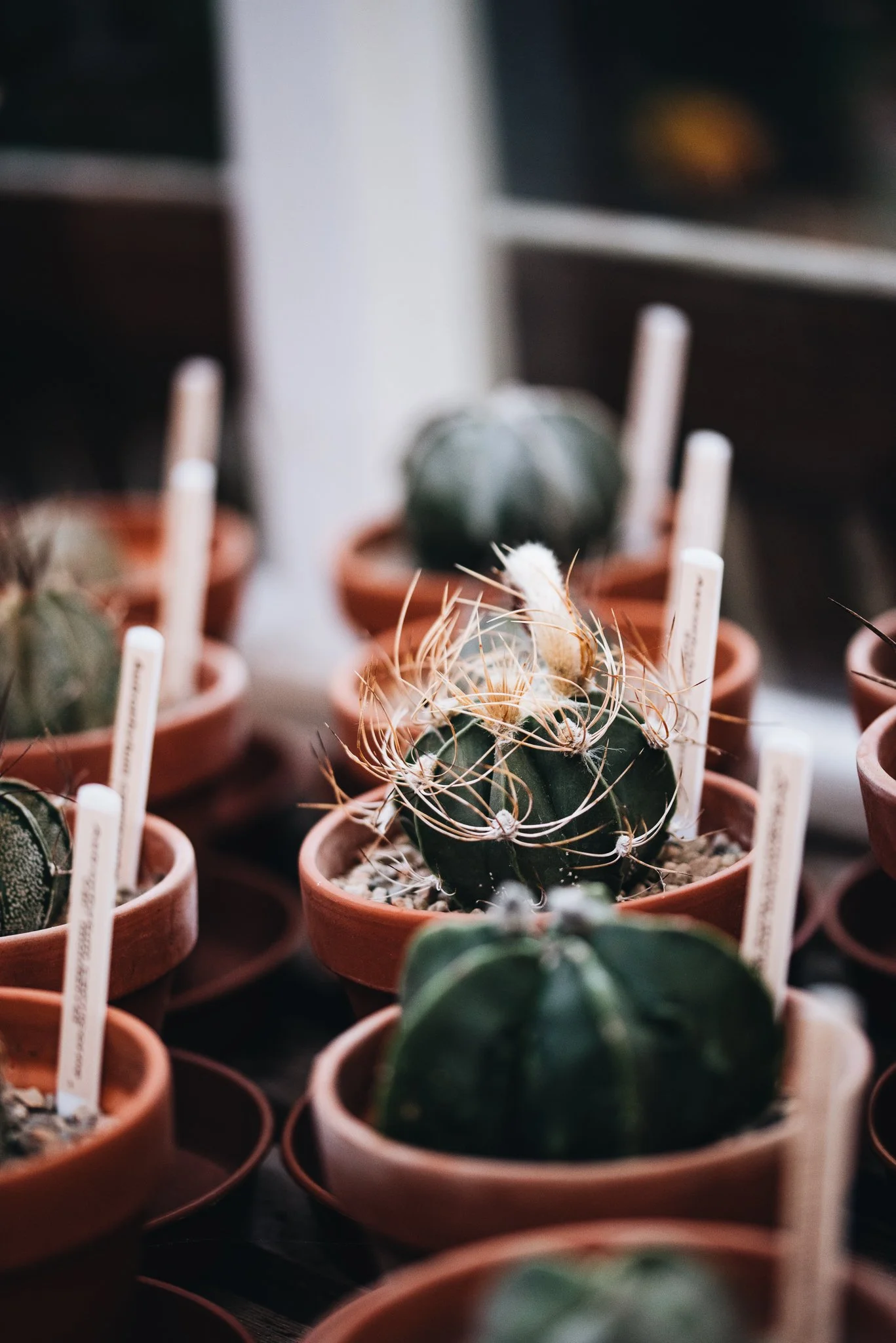 WEB RESOLUTION (SOCIAL MEDIA)-65.jpg