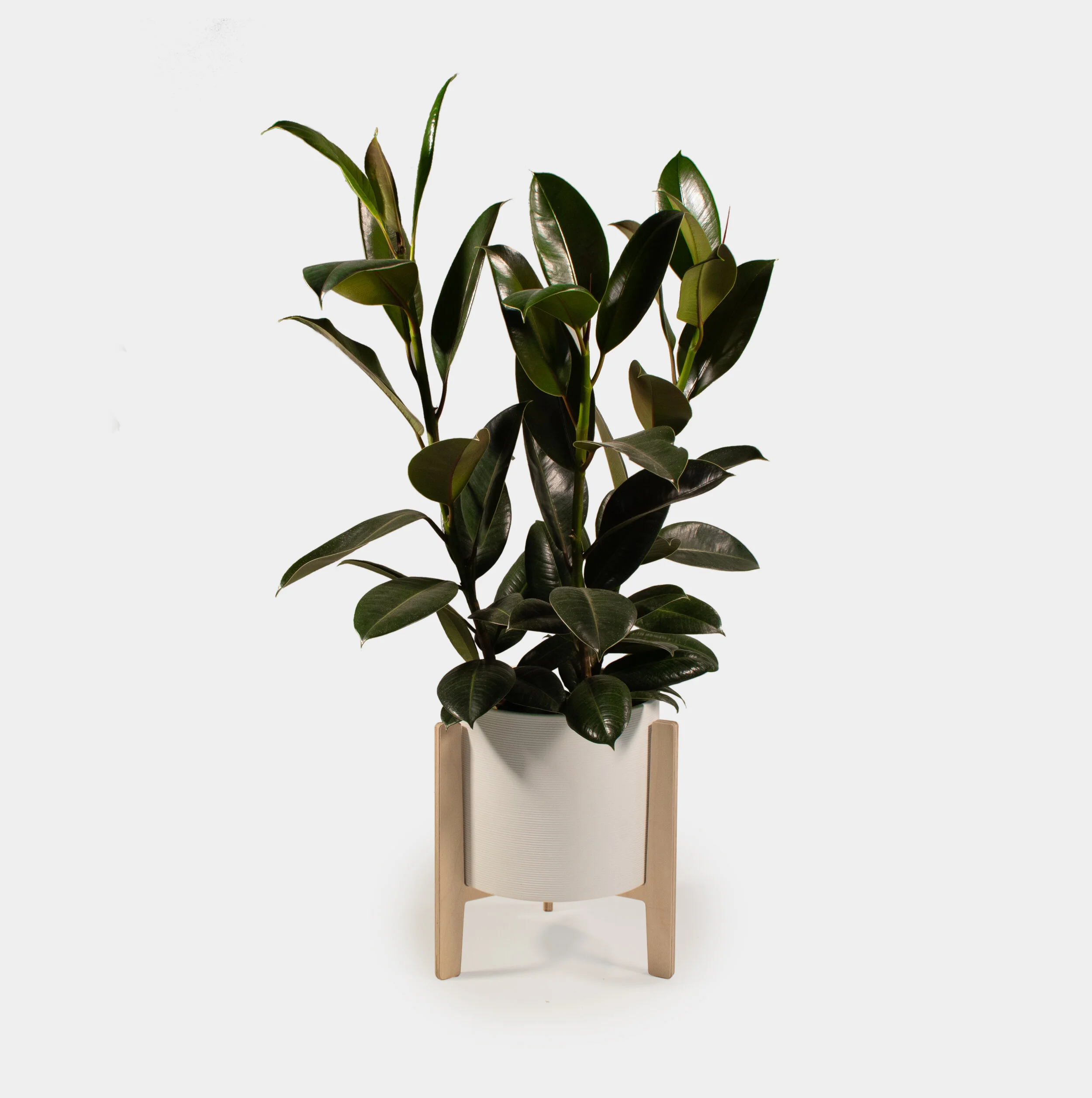 Plant stand
