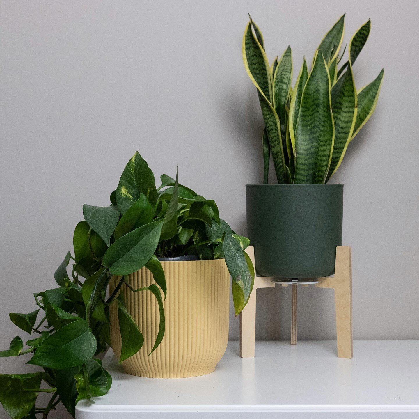 Hey Guys!⠀
⠀
As promised, our NEW small and medium sized plant stands are now available on the website! WAHOOO🚀⠀
⠀
We are offering free standard delivery on all plant stand orders until this Friday at Midnight, enter FREEPOST at checkout.⠀
⠀
We are 