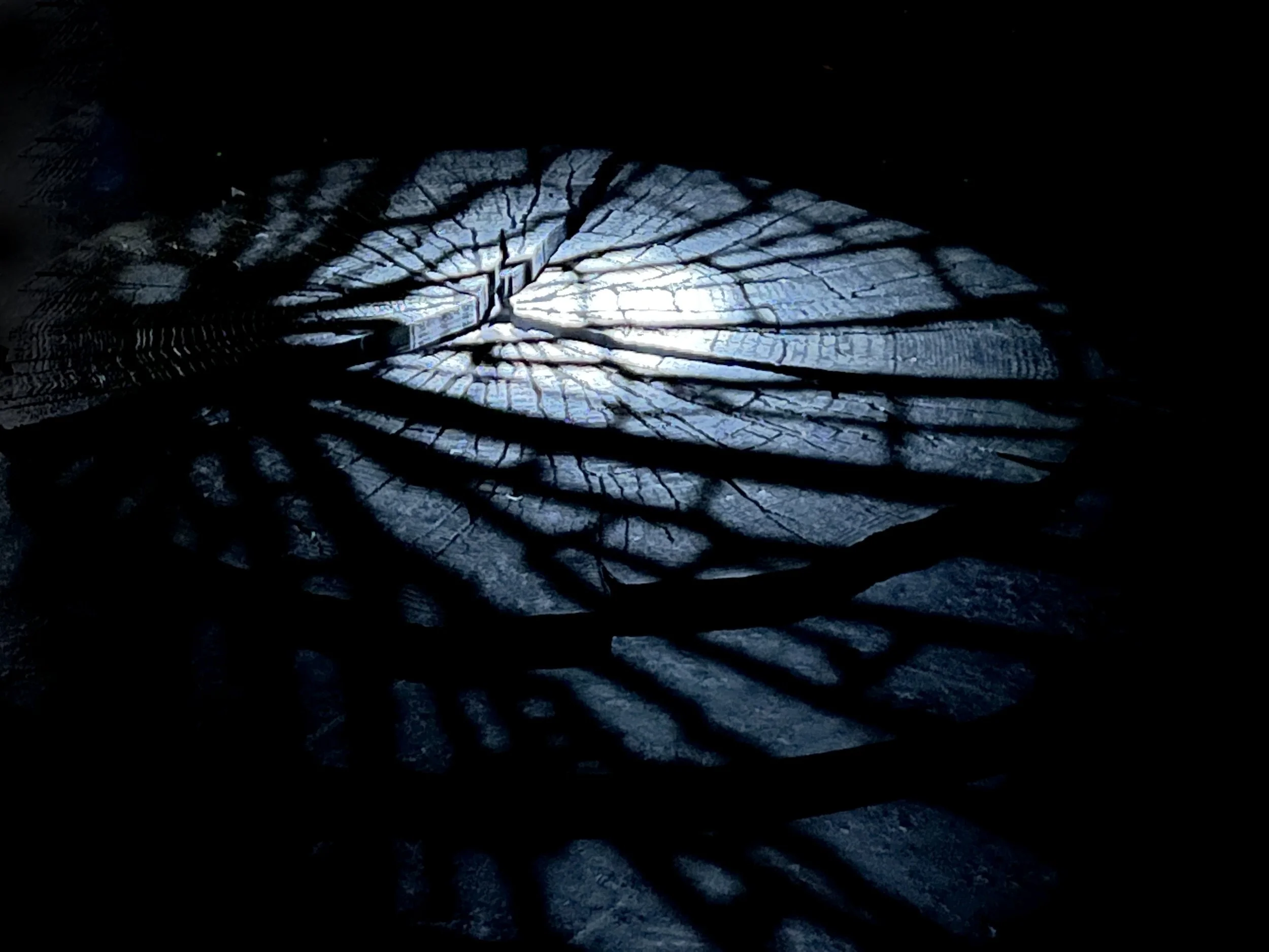 CURRENT PROCESS THE BLUEST EYE — JASON ARDIZZONEWEST SET DESIGNER