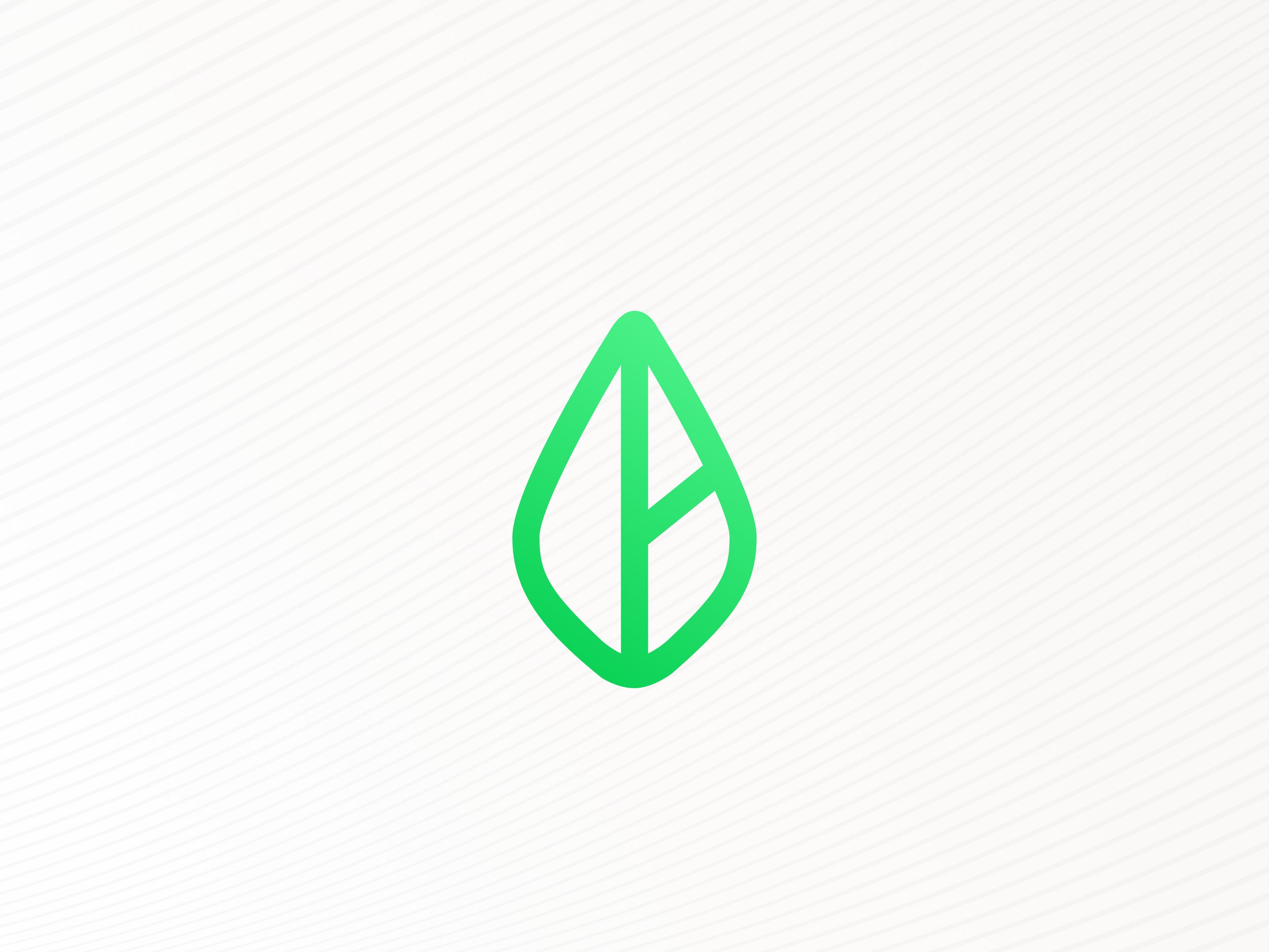 Branch