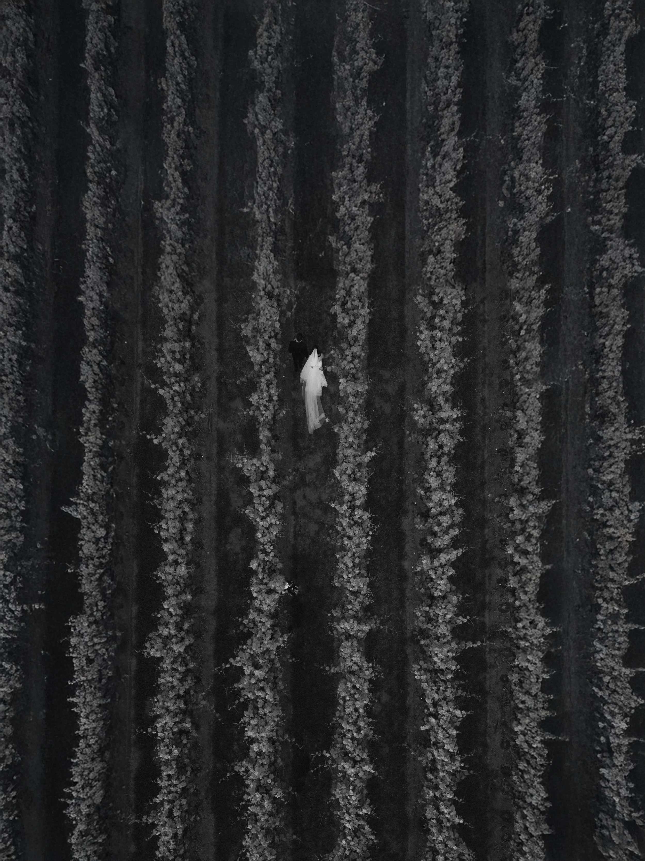 SneakPreviews_225.jpg