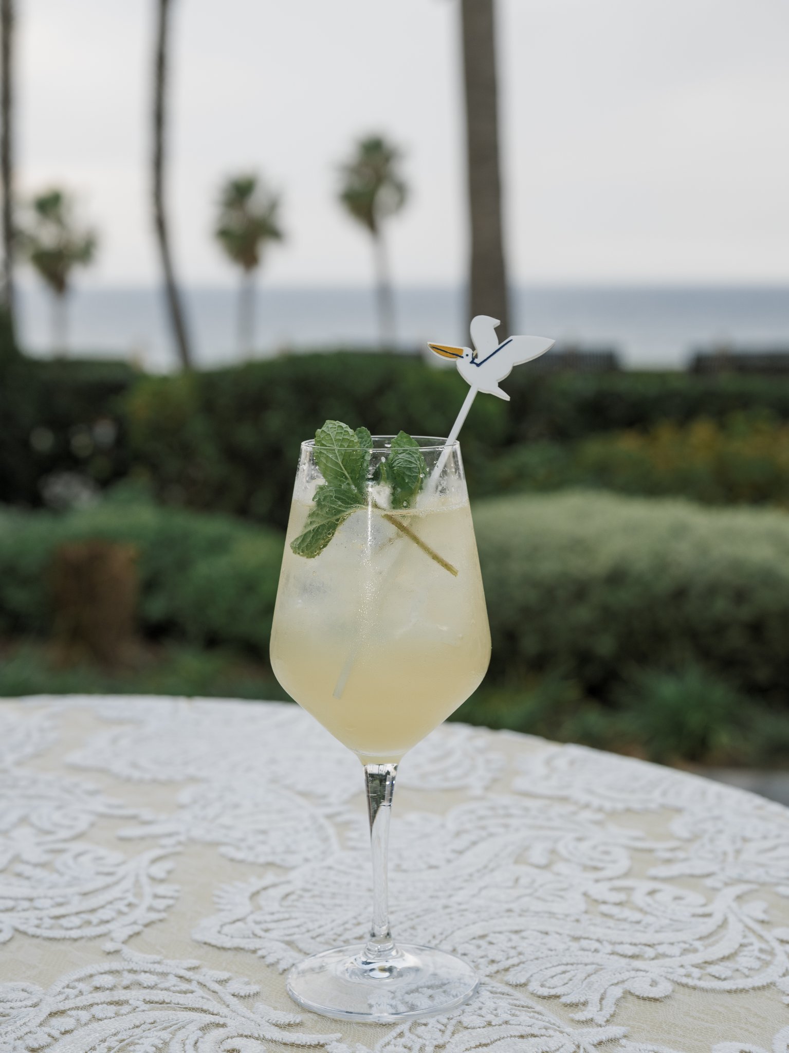 The Seabird Jan 2026 - Holly Sigafoos Photo-107.jpg