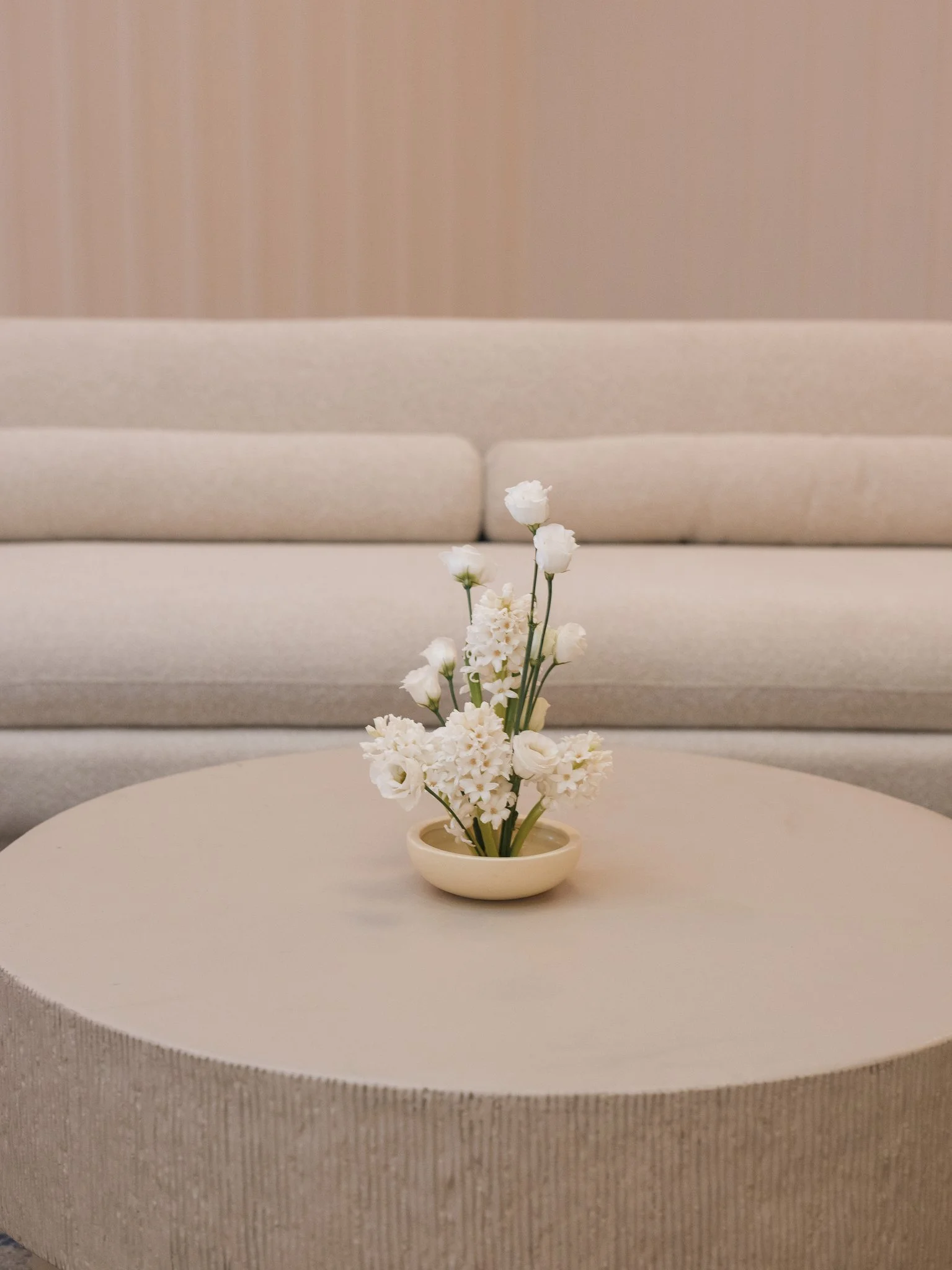 The Seabird Jan 2026 - Holly Sigafoos Photo-40.jpg