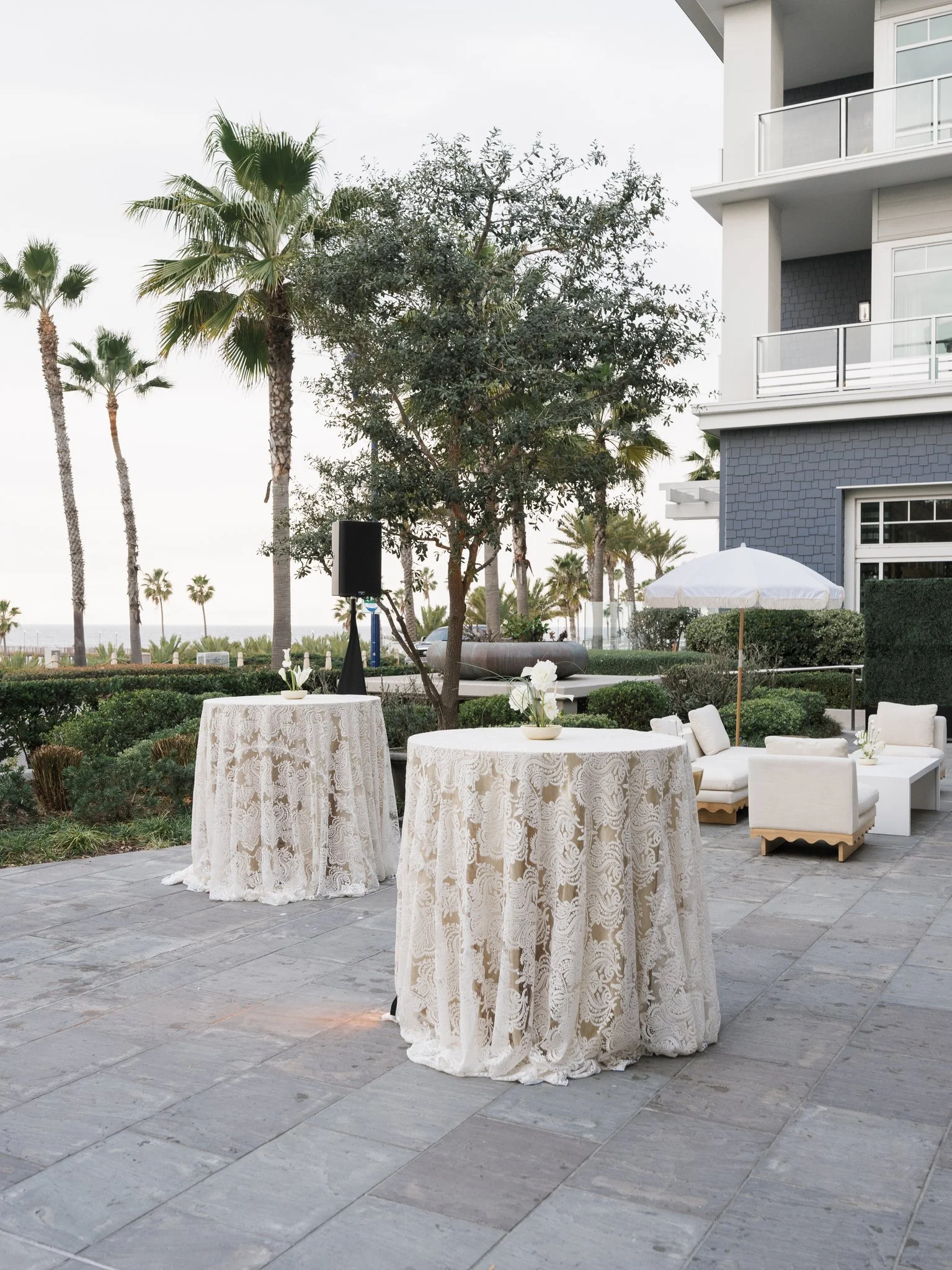 The Seabird Jan 2026 - Holly Sigafoos Photo-112.jpg