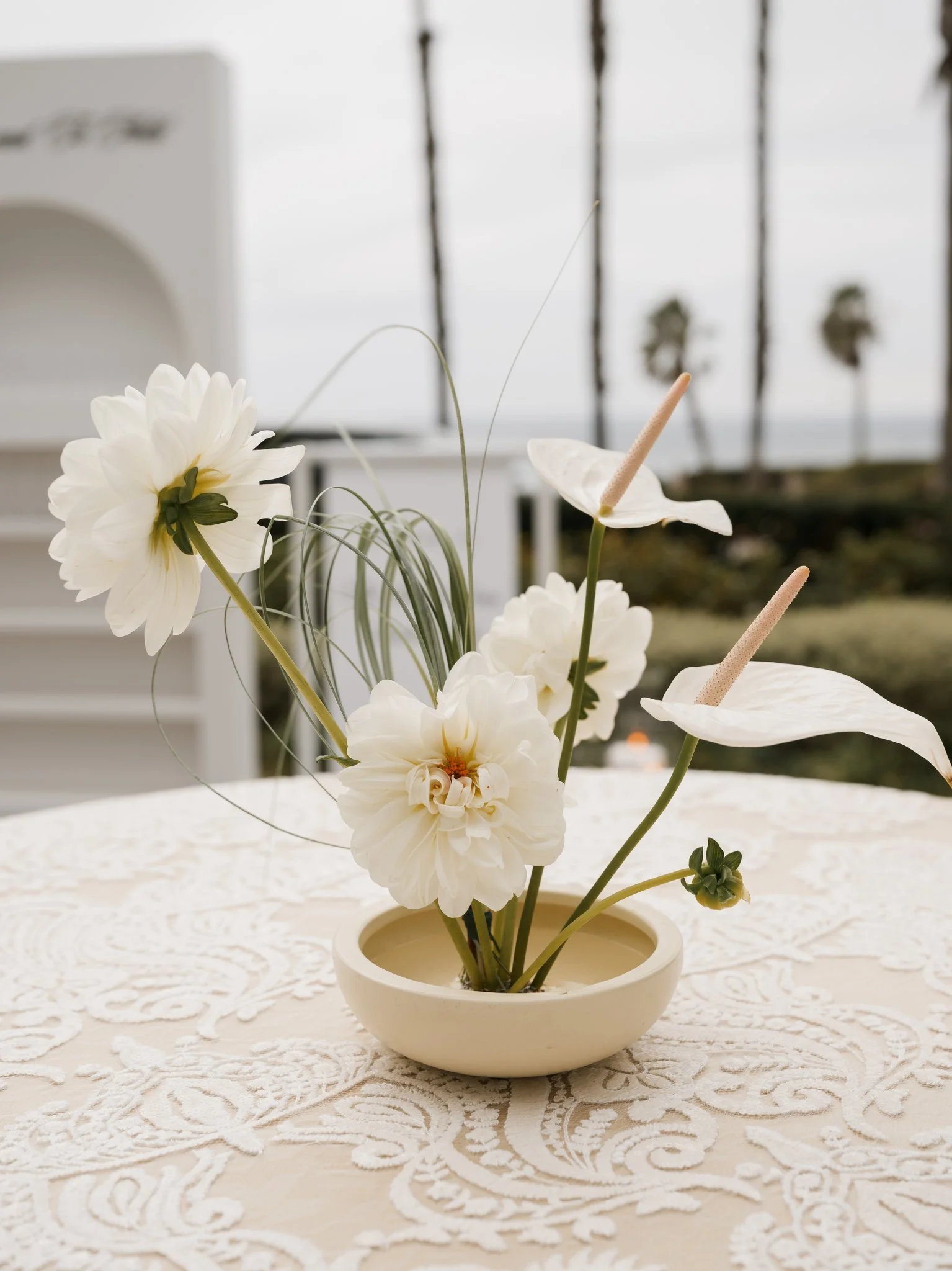 The Seabird Jan 2026 - Holly Sigafoos Photo-9.jpg