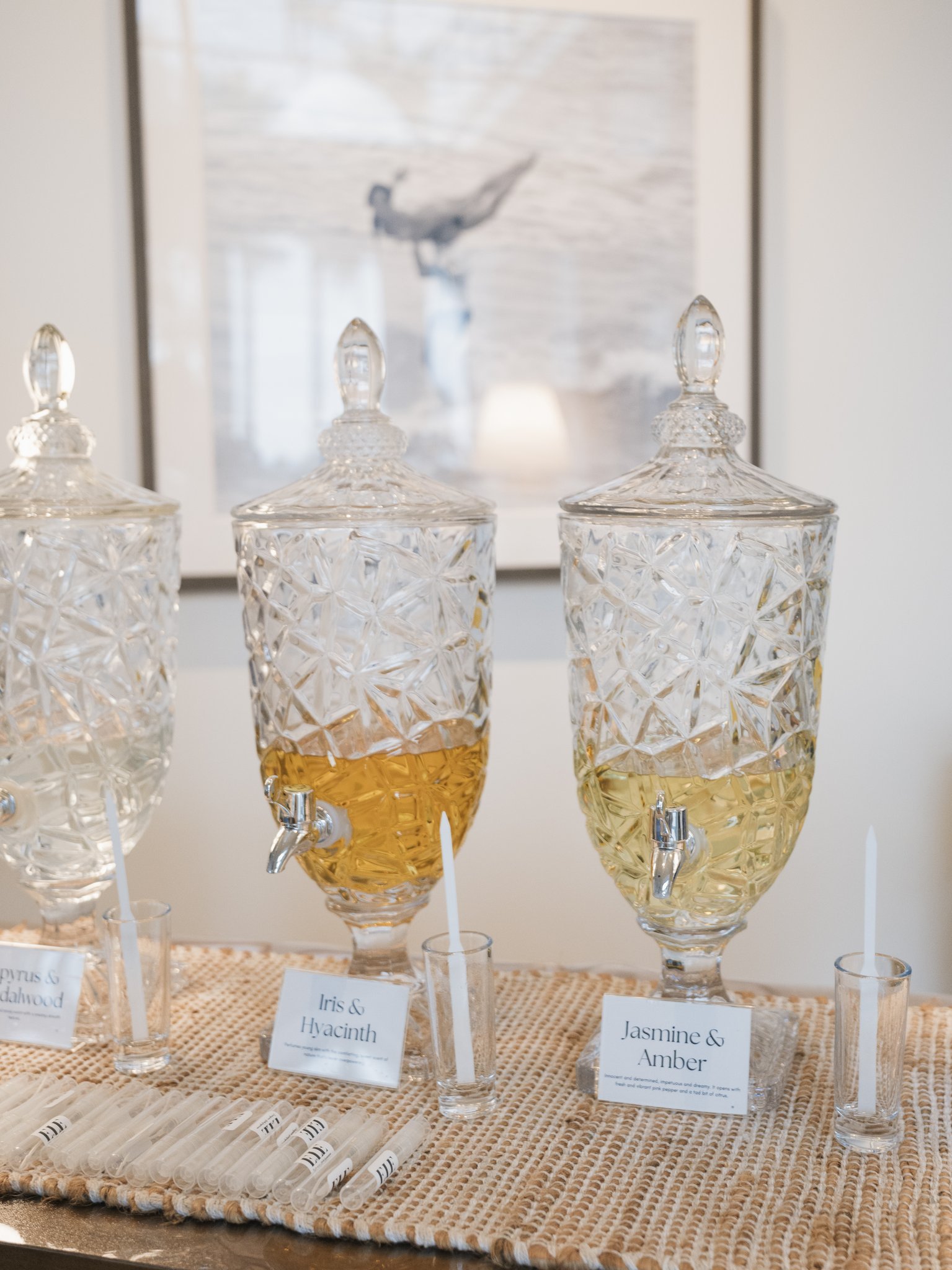 The Seabird Jan 2026 - Holly Sigafoos Photo-5.jpg