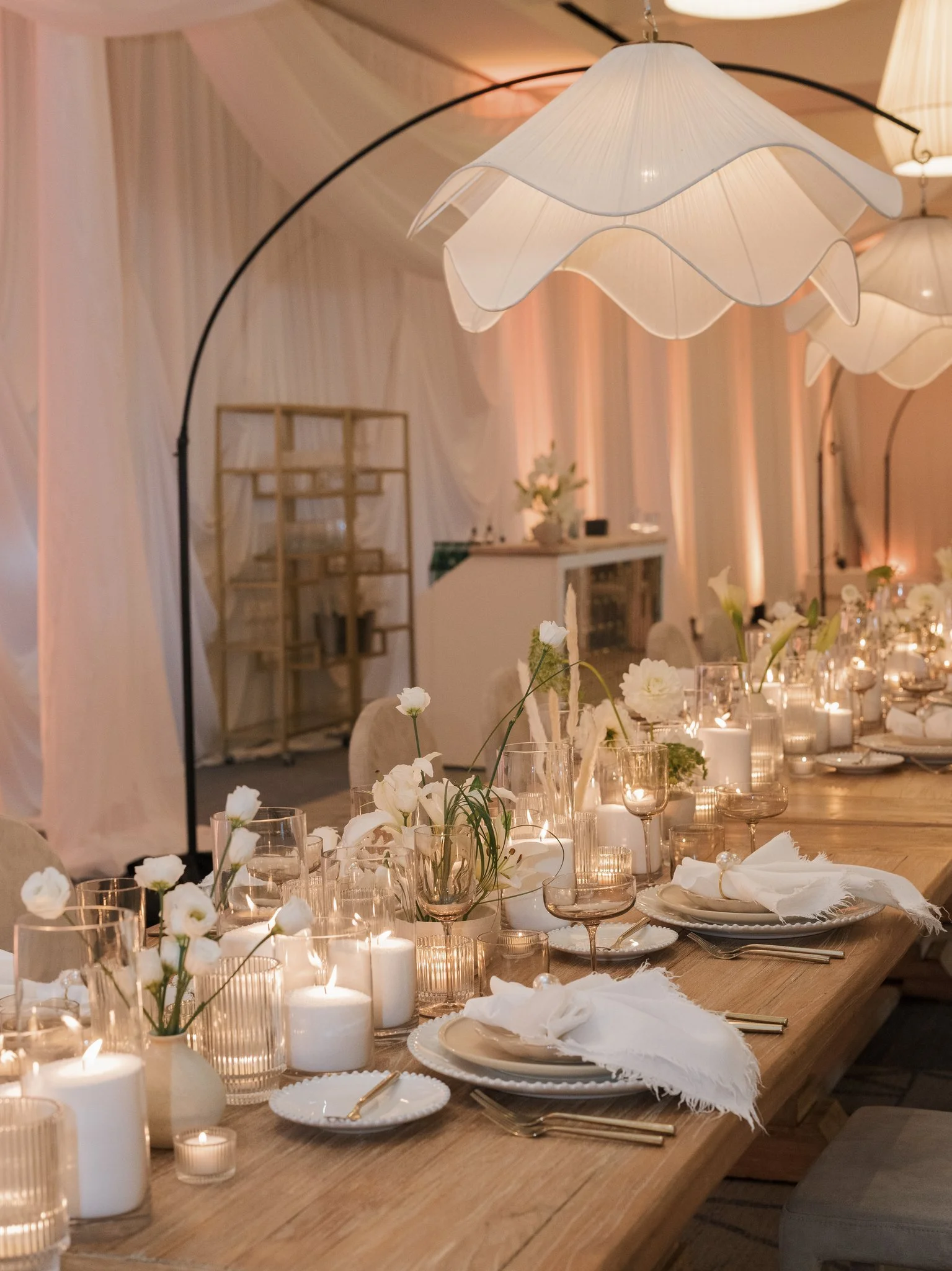 The Seabird Jan 2026 - Holly Sigafoos Photo-50.jpg