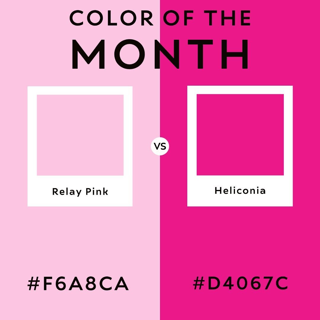 Color of the month of February-Heliconia! Catch up with us on our Facebook and Twitter @CottonCNX! #colorlove #pink #cottoncnx