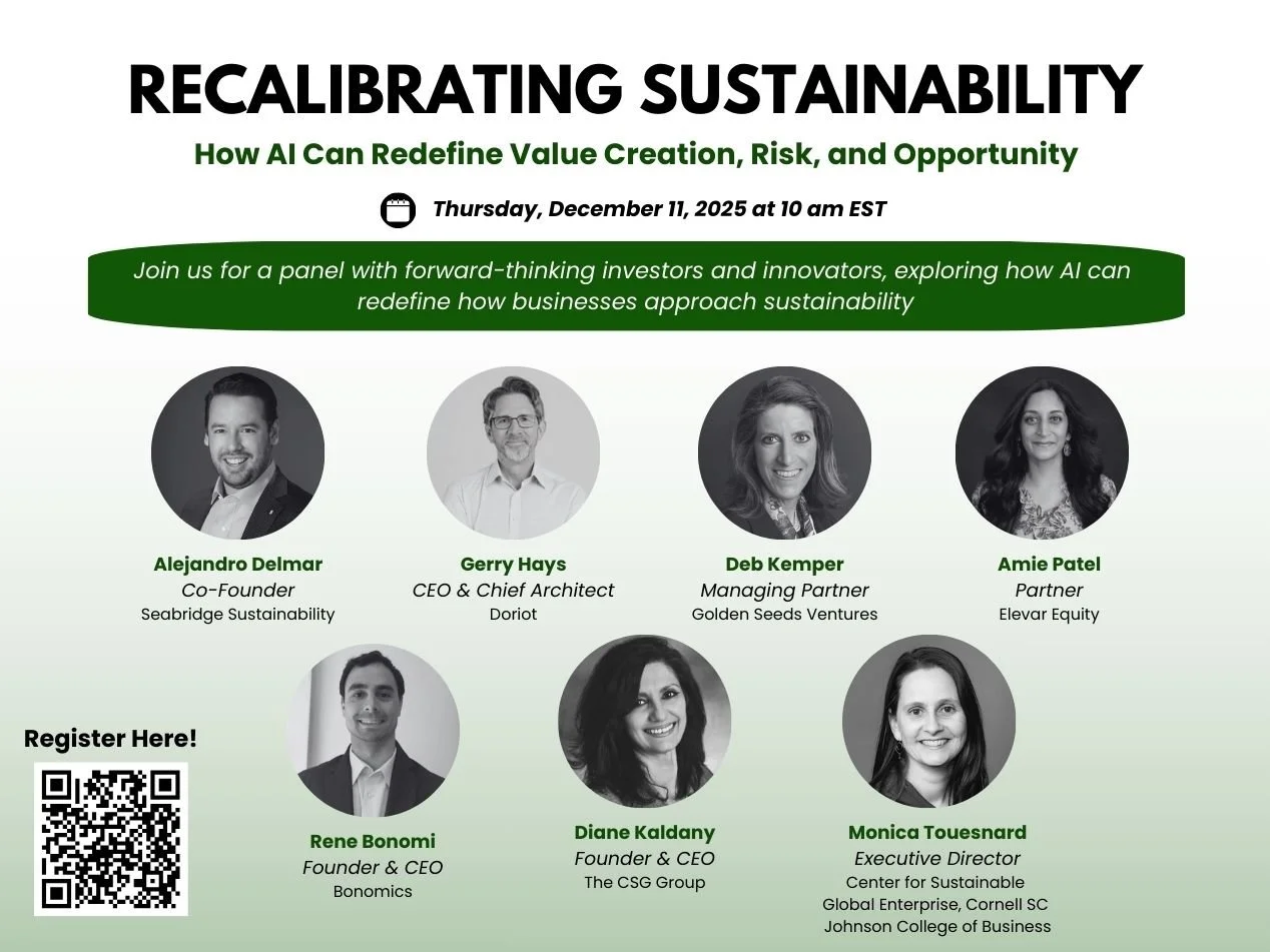 Recalibrating Sustainable Impact: How AI Can Redefine Value Creation, Risk, and Opportunity in Sustainability