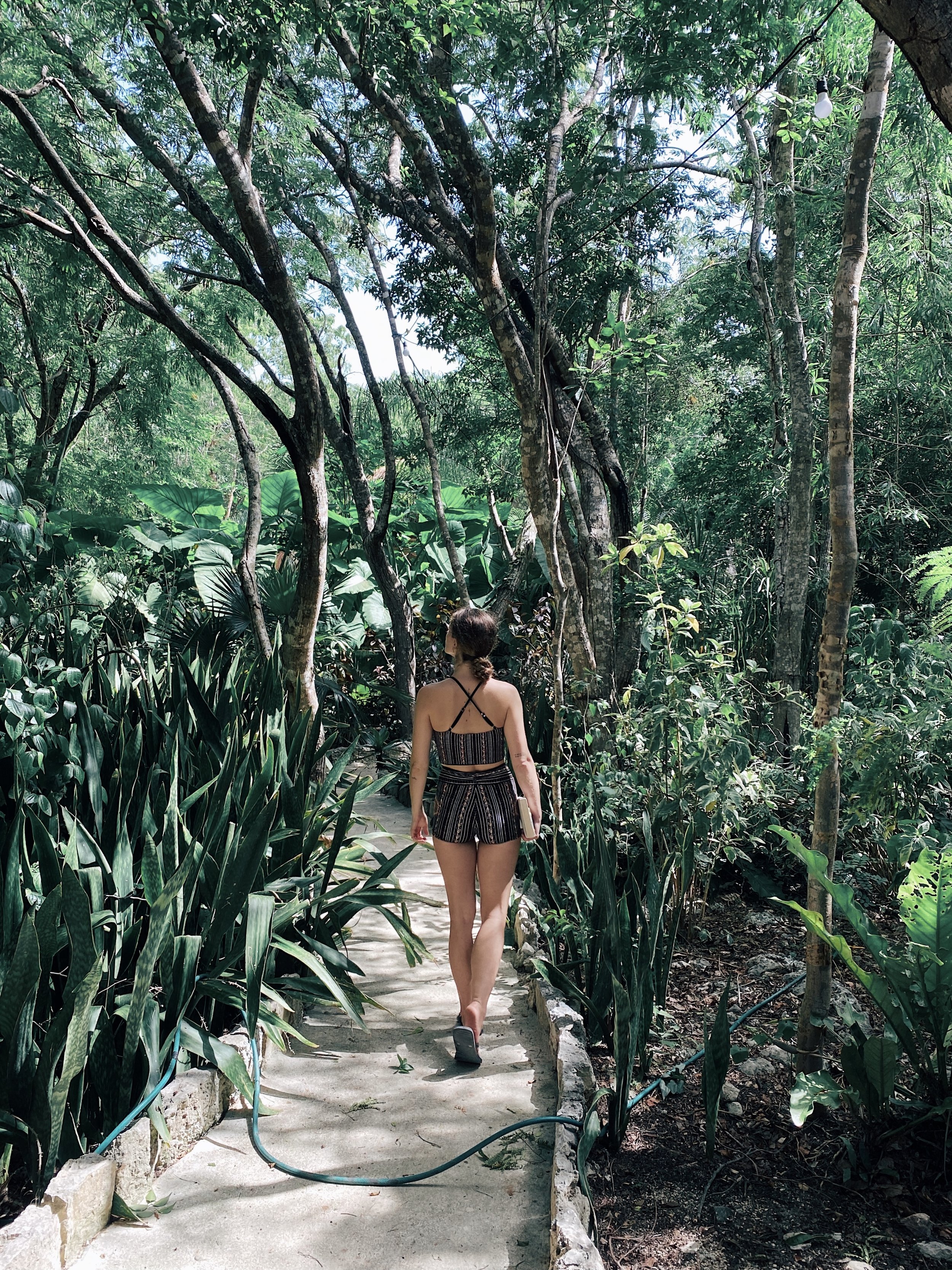 Eco Resort(1).jpeg