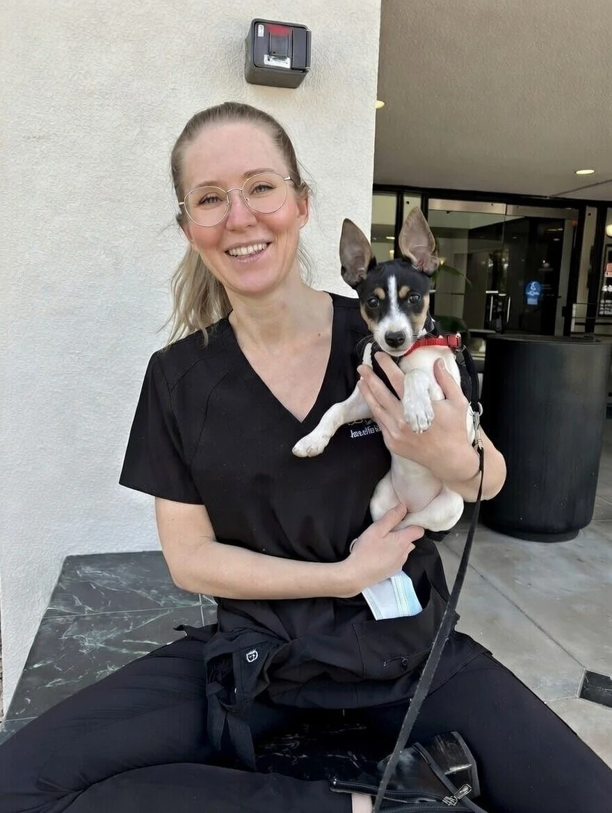 Dr Ebner, Phoenix Arizona Dentist Dental Office