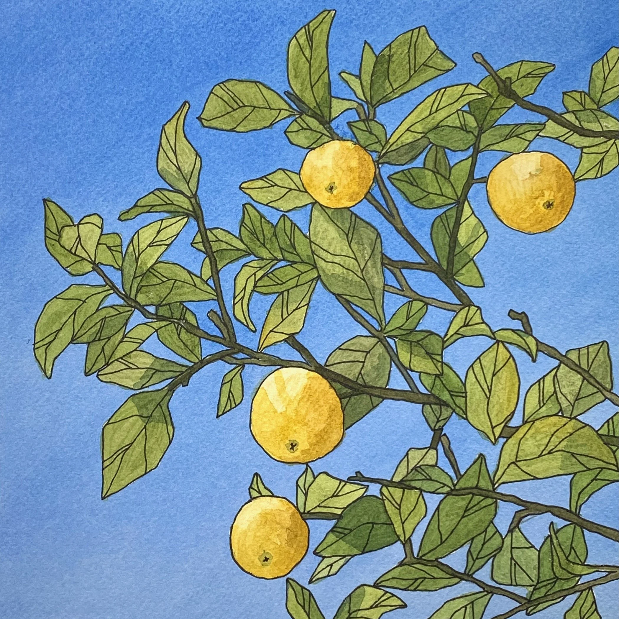 4 Lemons - Created for gallery opening Oct 2024