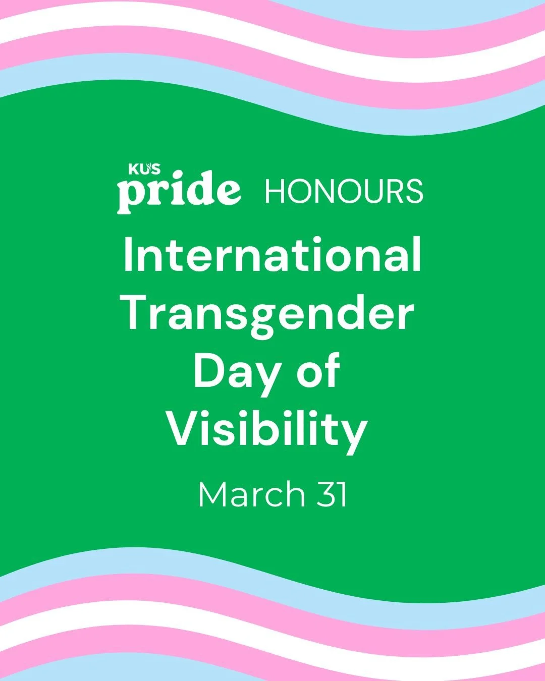 March 31st is a reminder that representation matters. Today we celebrate International Transgender Day of Visibility (TDOV) to recognize the contributions of transgender and non-binary people to society and recognize that allyship, advocacy, and incl