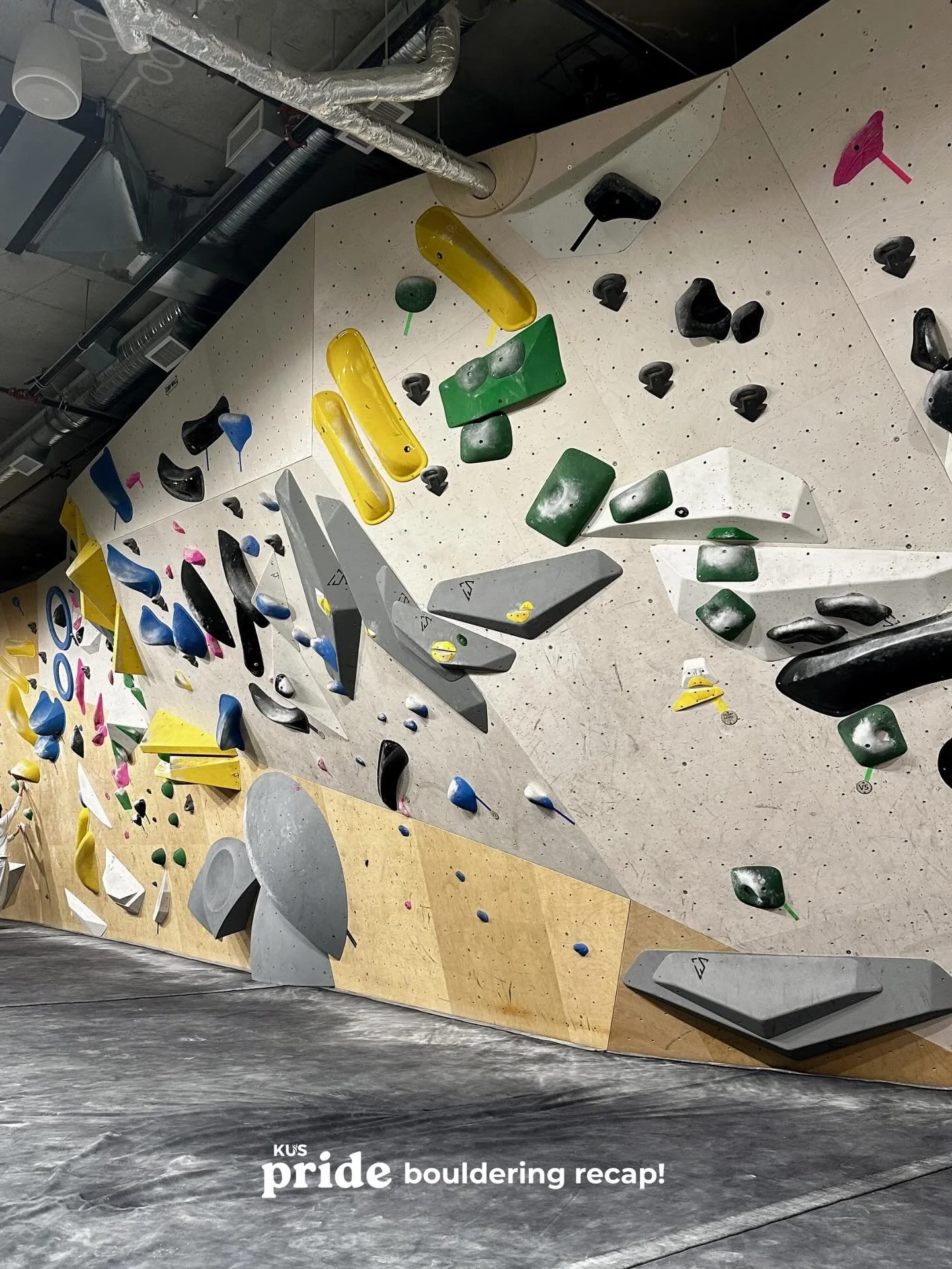 Thinking back to last Sunday where we perfected our spider-like skills 🧗 Thanks for everyone who came out and tried out bouldering at Progression, and for our more experienced attendees for showing us how it&rsquo;s done 💚 P.S. Swipe to the end to 