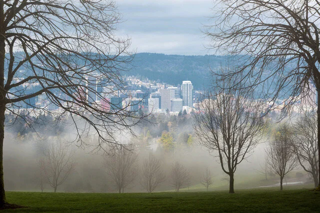 PDXproperty.com_Mt._Tabor_Vista.jpeg