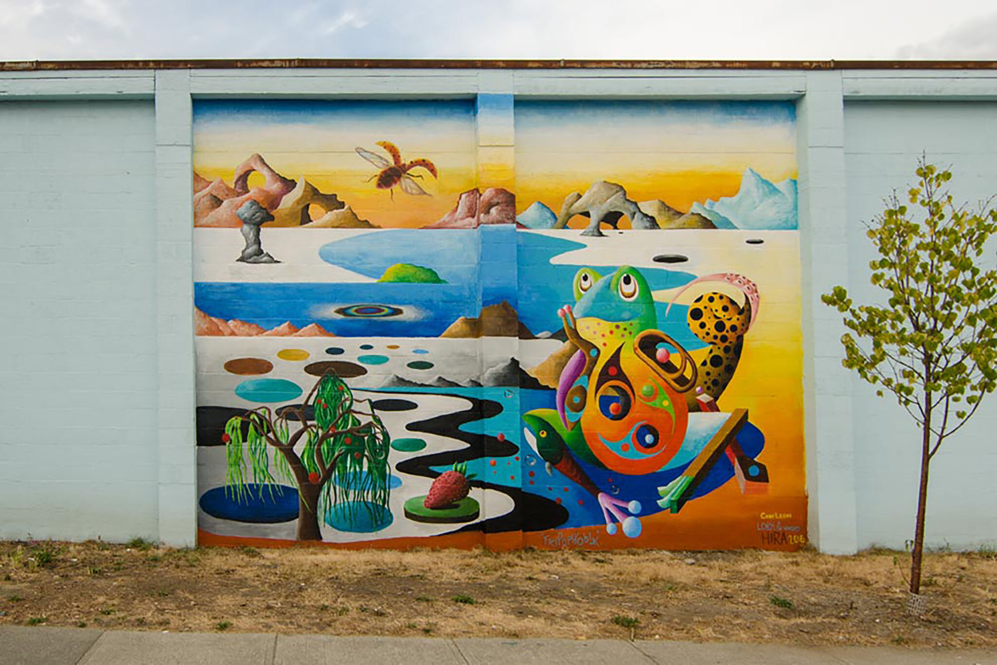 Cody Lecoy: Trypophobia