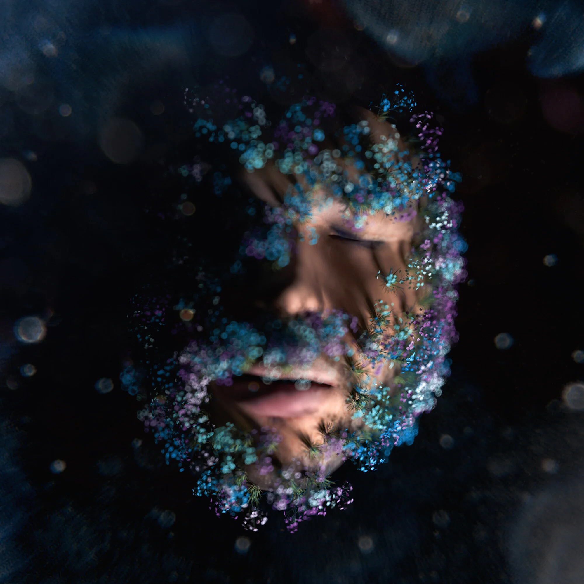 Meet VMF Winter Arts Artist: Will Selviz