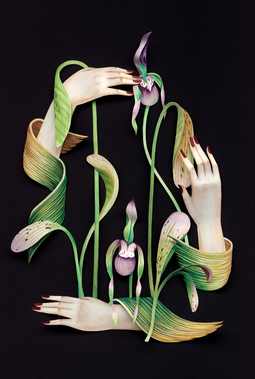 VMF Academy Collection Artist: Andrea Wan