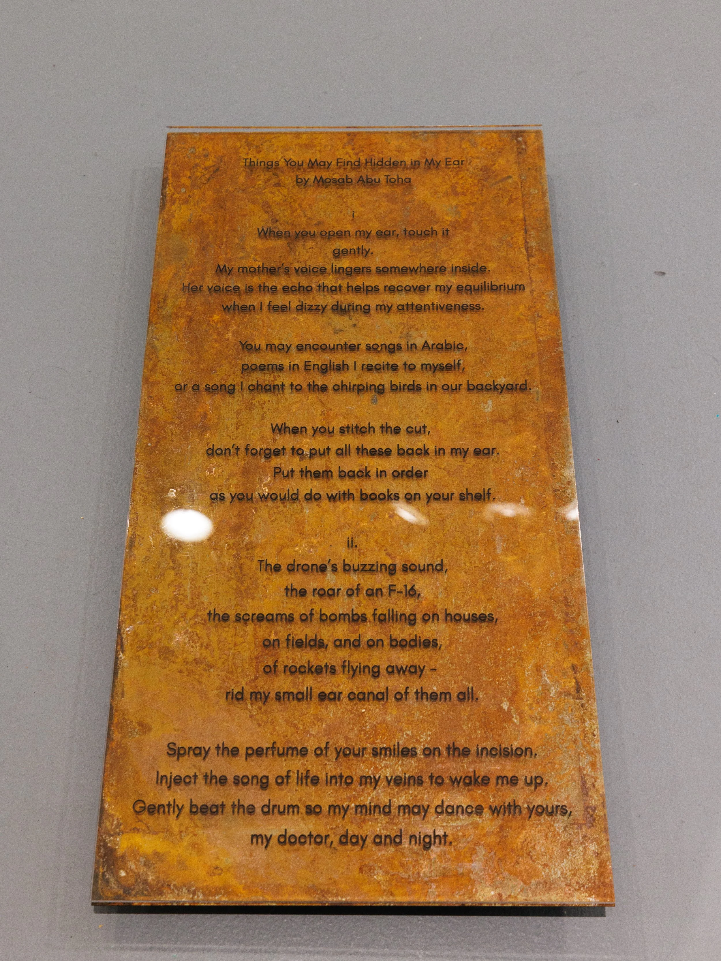 Things You May Find Hidden in My Ear (Reference Poem)