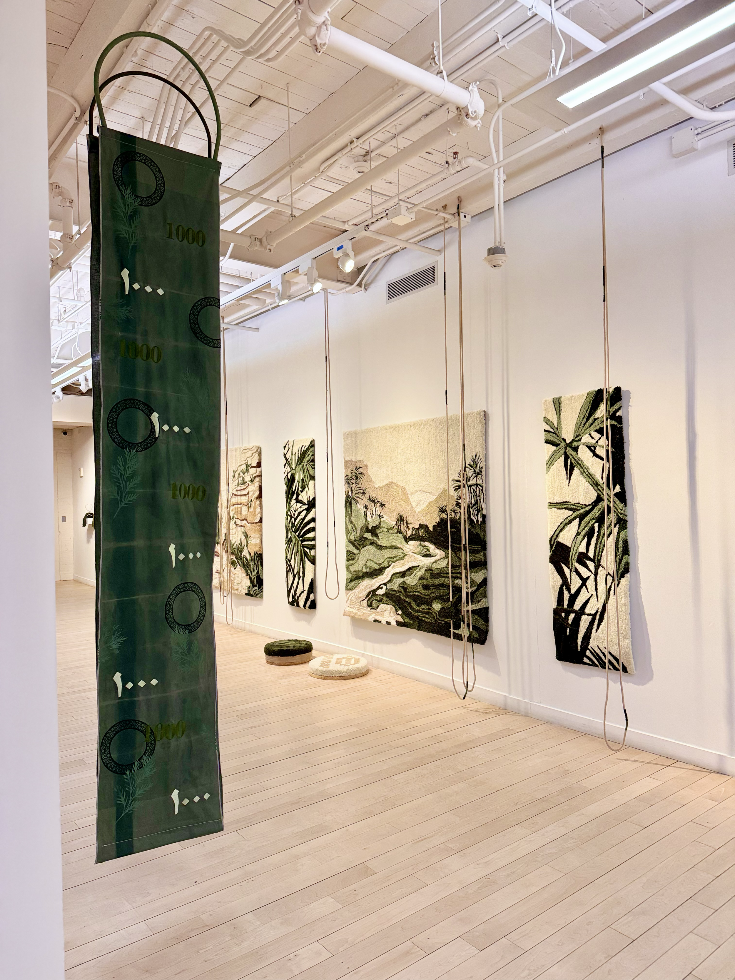 Building Steam with a Grain of Wheat (1000 Sudan) 96 × 18 in 

Bleach, embroidery floss, fabric paint, woven synthetic fibers, bank notes

2025