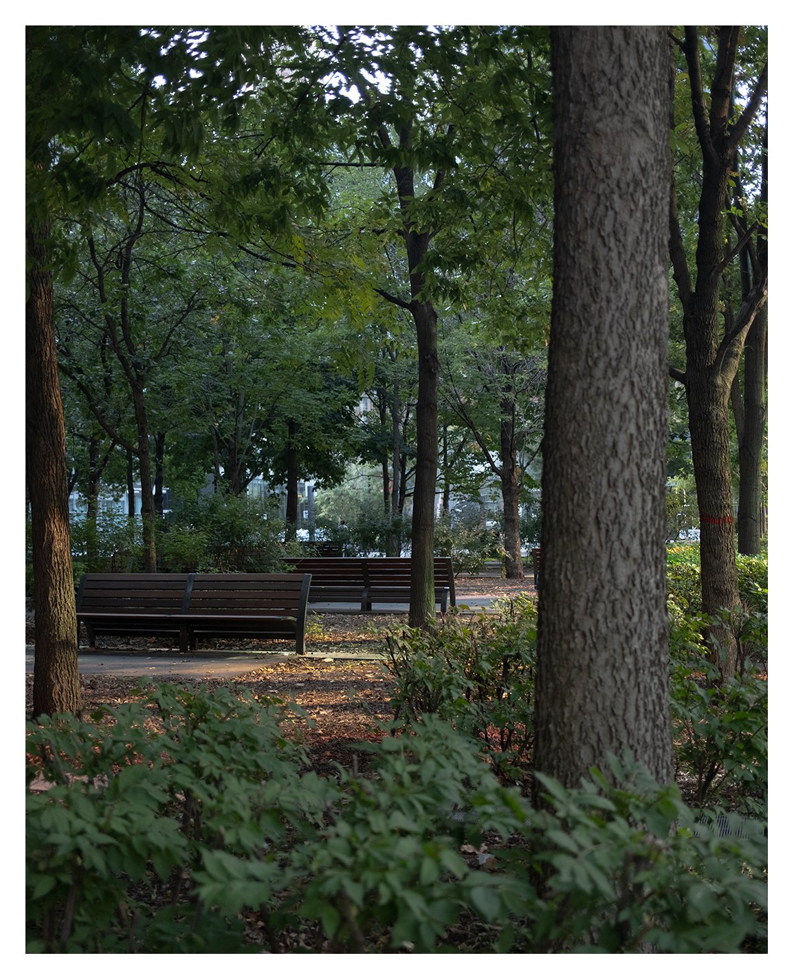 greenery-bench.jpg