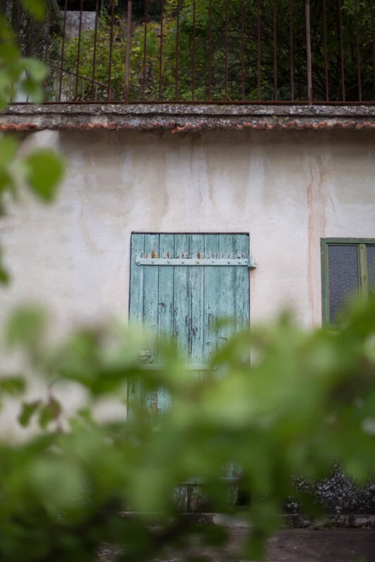 france-9103.jpg