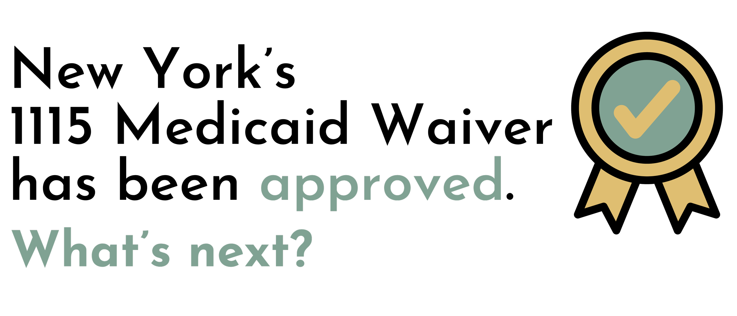 1115 Waiver NYS Medicaid HSG 1115 waiver nys medicaid hsg
