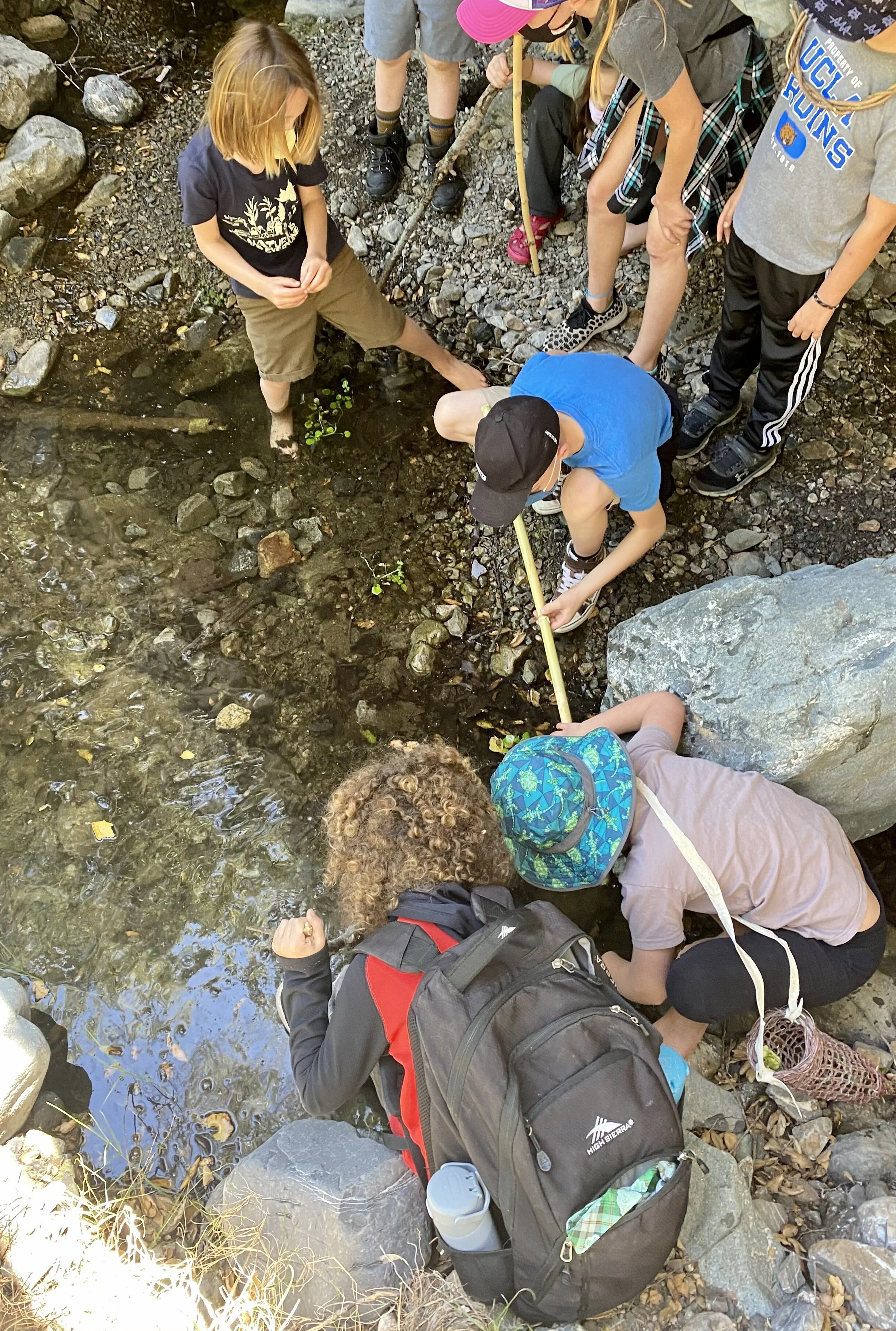 Earthroots Field School
