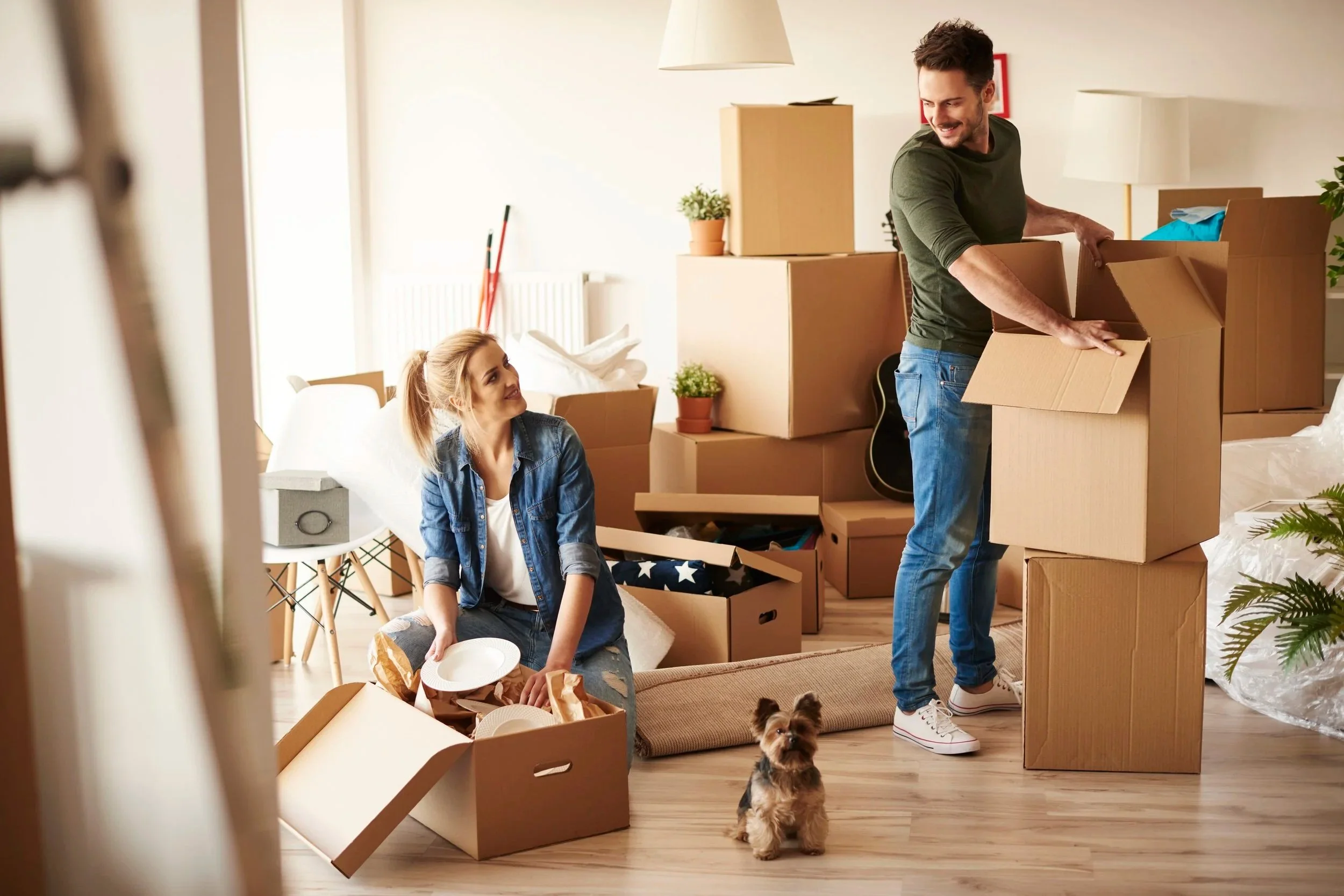 Tales From a Moving Crew