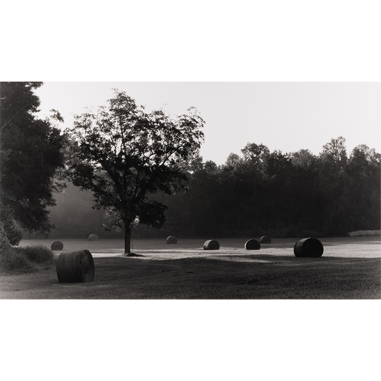 Andrew Johnson Troy Light Silver gelatin print on fiber 16_x20_ $450.png