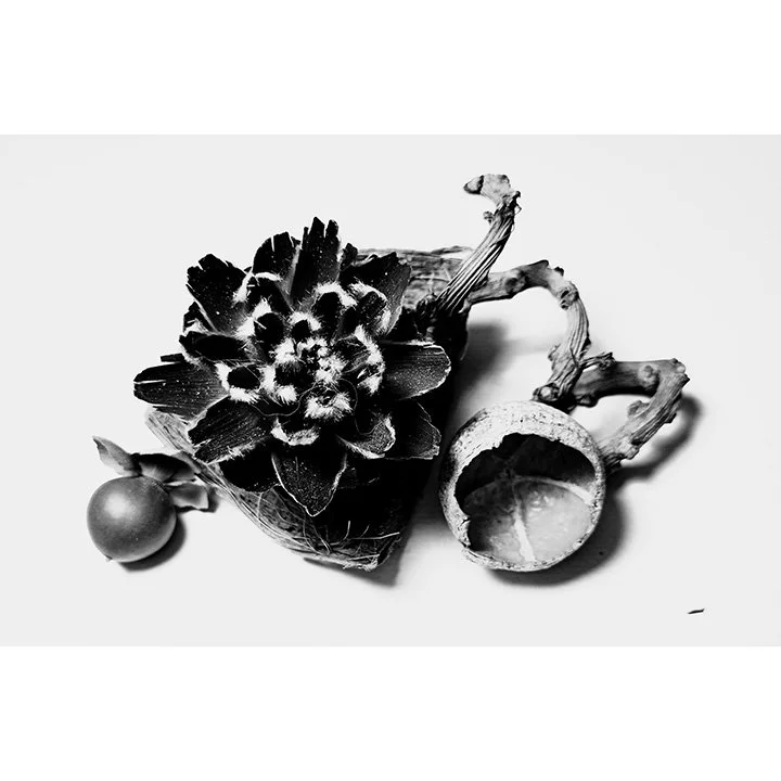 *Naomi Cummings, 10th grade Pensacola High School Shadows Photography.jpg