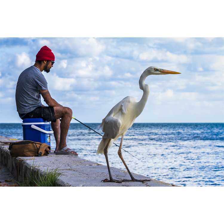 Jason Mulvihill Fishing Buddies Archival pigment print 18"x12" $250.png