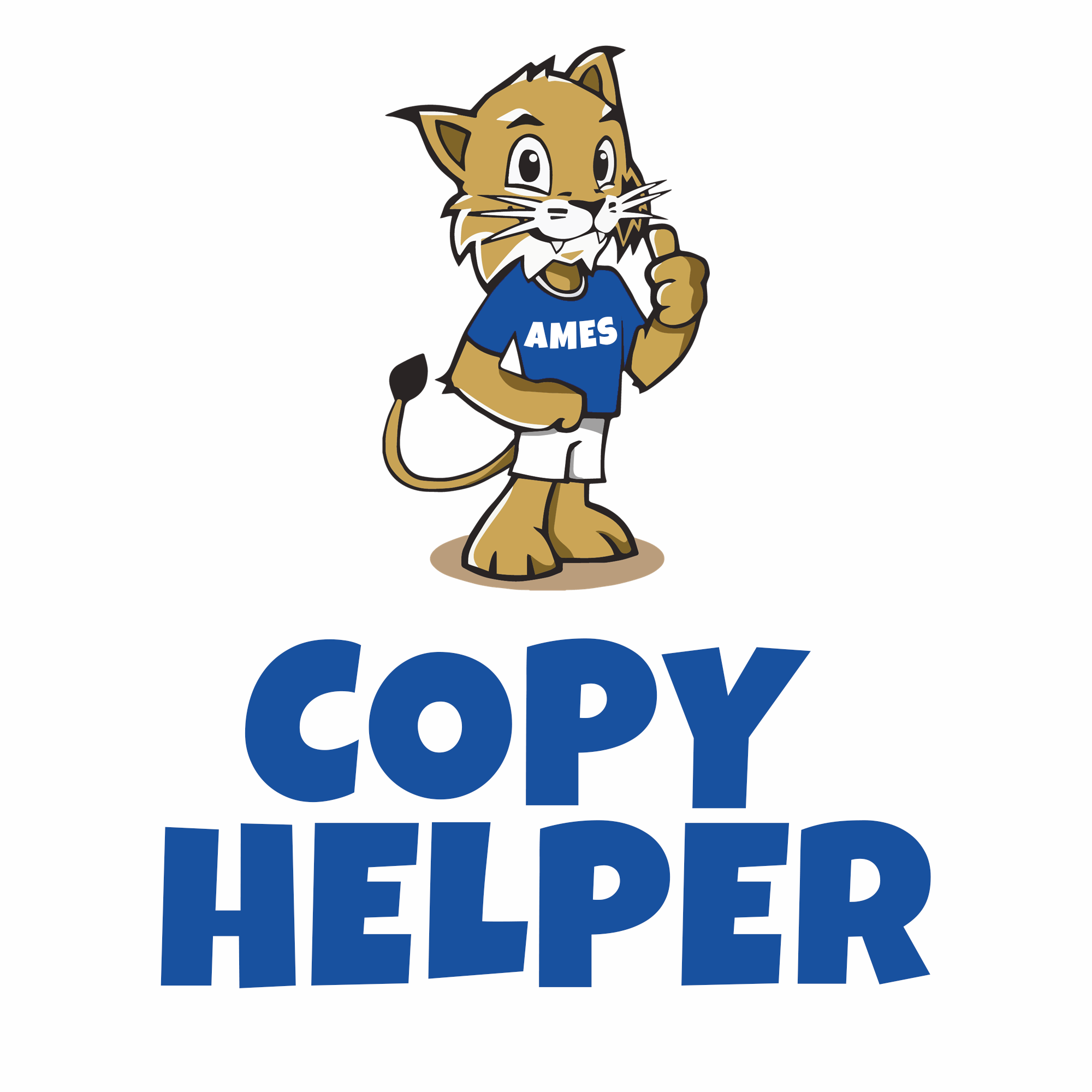 Copy-Helper.png