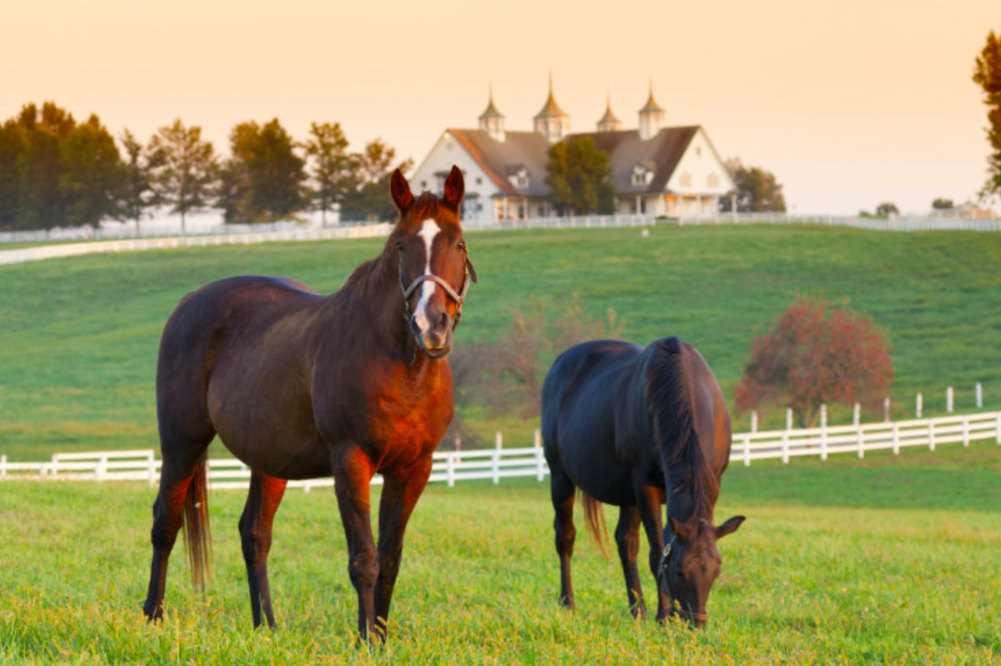 A Guide to Living in Milton, GA