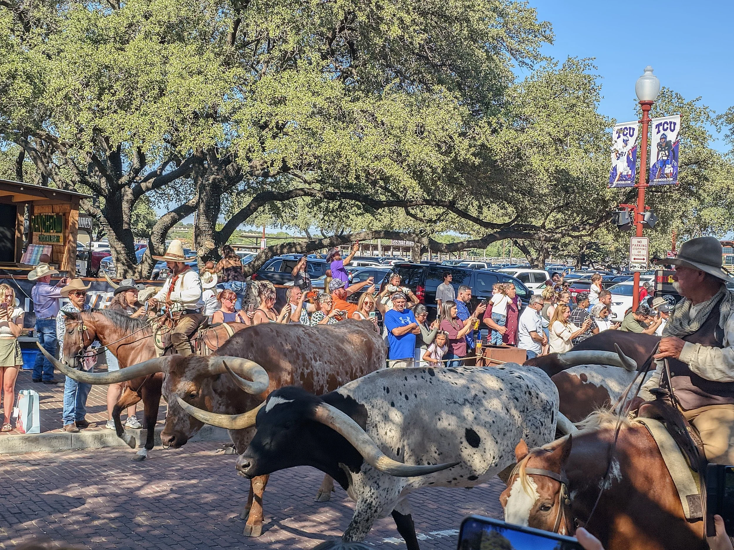 9a75718b-f430-461d-8e0e-845556d6fbe1 2.JPG