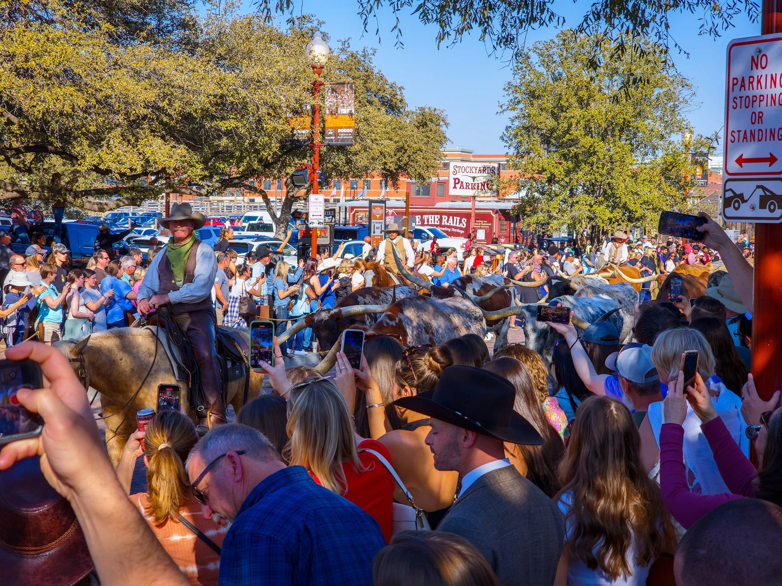 481ccc49-2f8b-4a70-886e-0441e08cef13 2.JPG