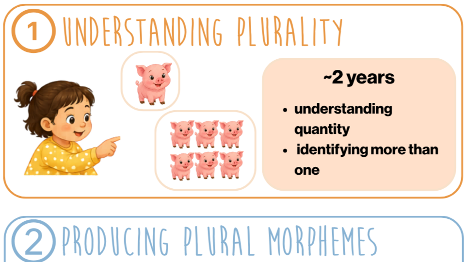 When Do Spanish-Speaking Children Learn Plurals?&nbsp;