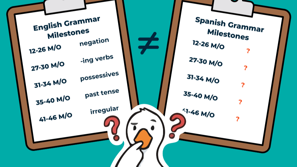 Why Can't I Find Spanish Grammar Norms?