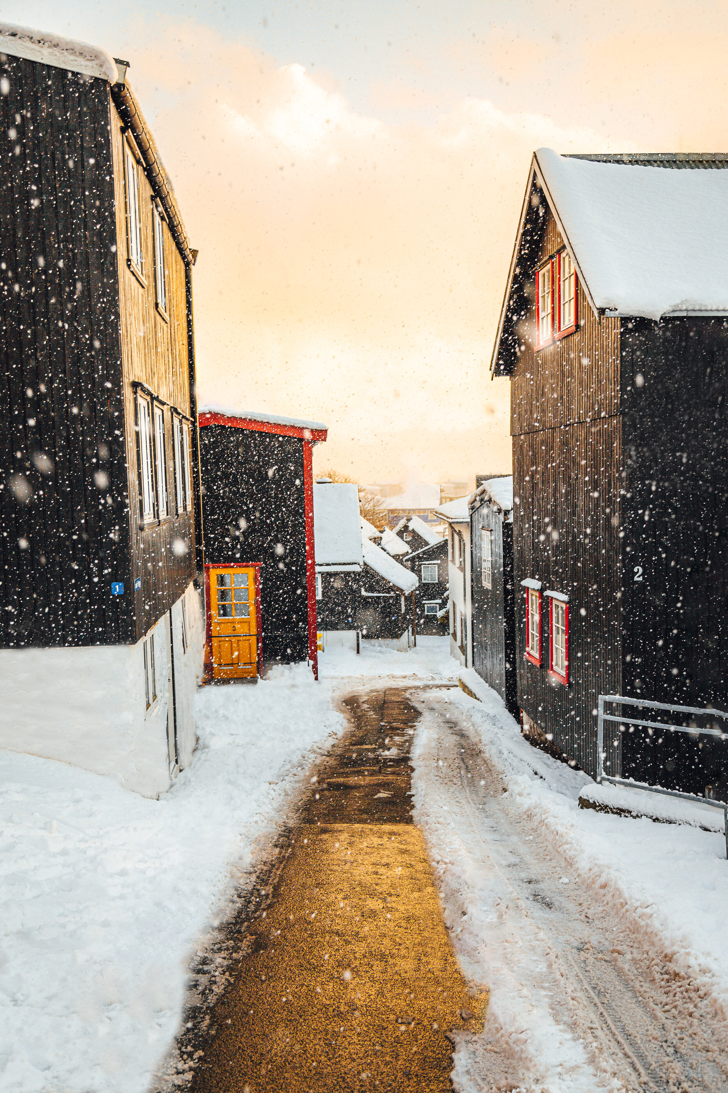 _MG_7743-Edit.jpg