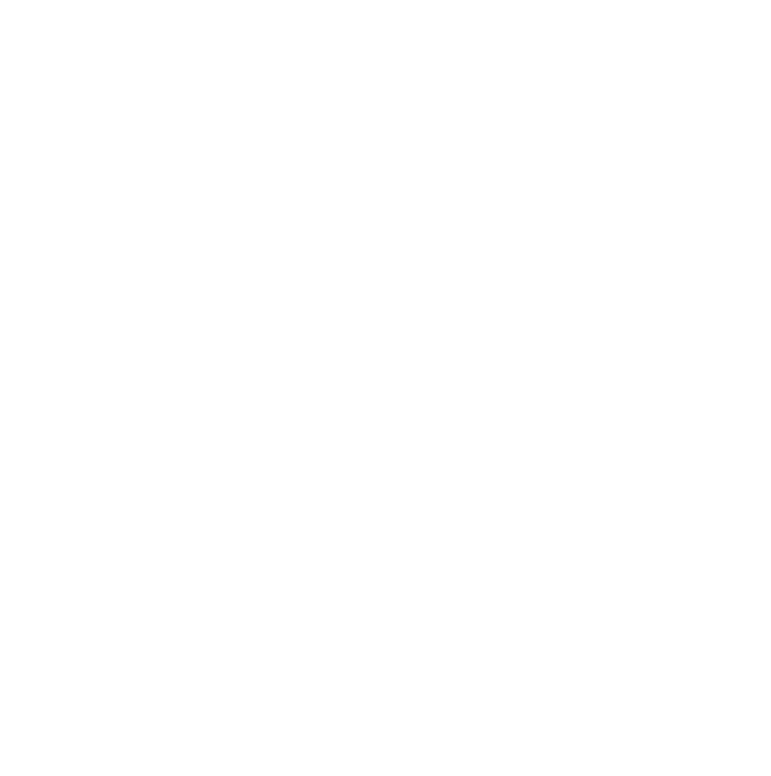 Little King Companies