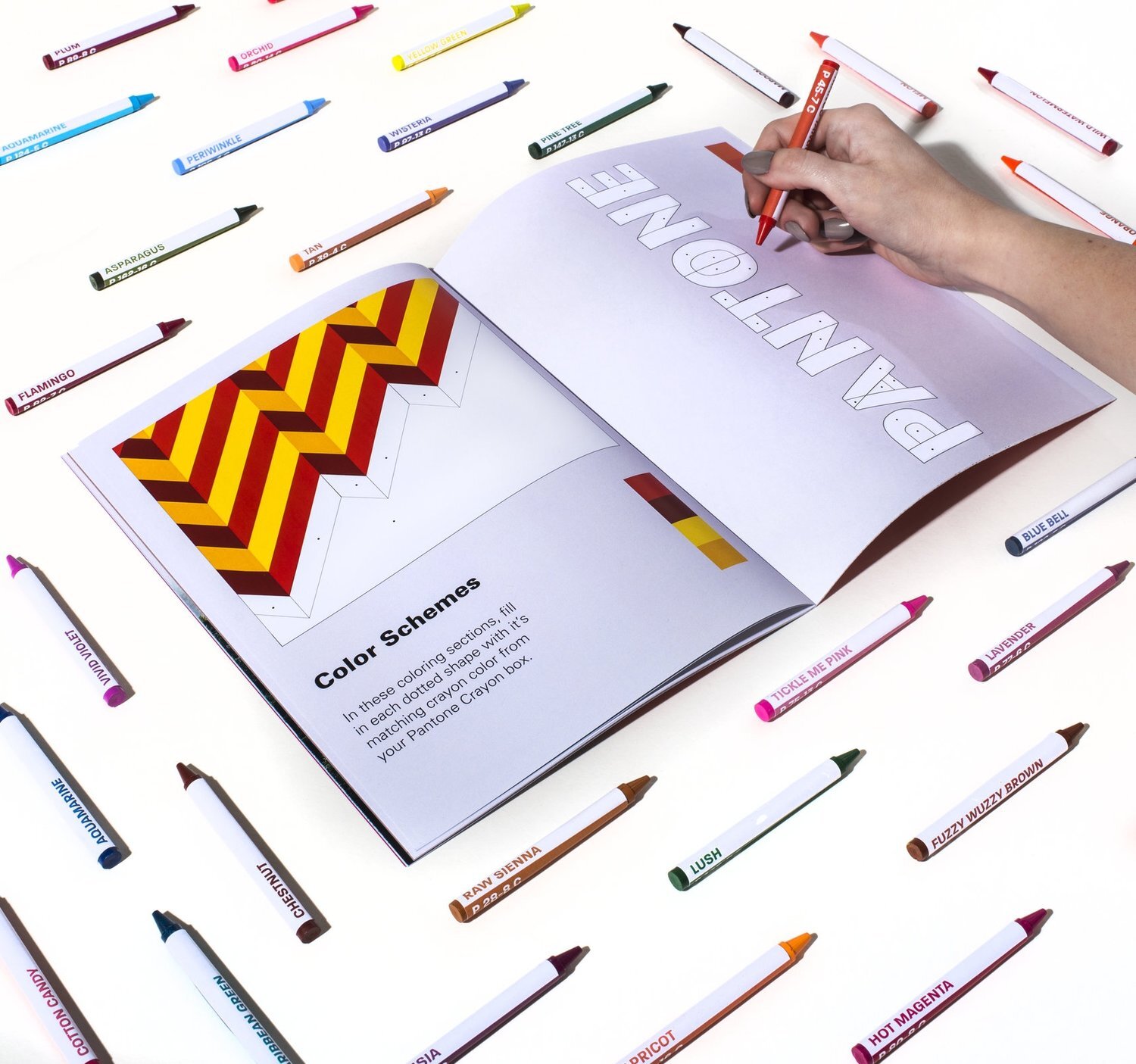 Pantone Colored Crayons - Branding &amp; Photo Art Direction