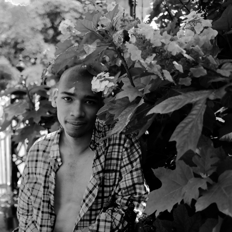 “Adonys” - Motion Edit ( photo by Chris Sechler )